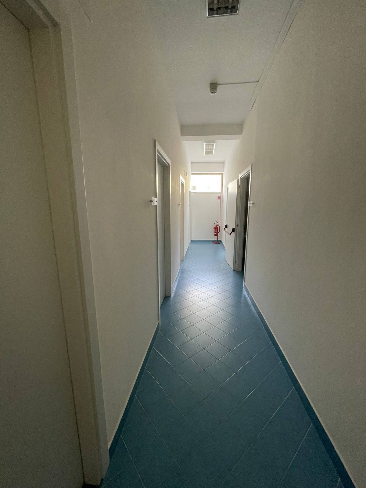 commerciale in vendita a Ottaviano