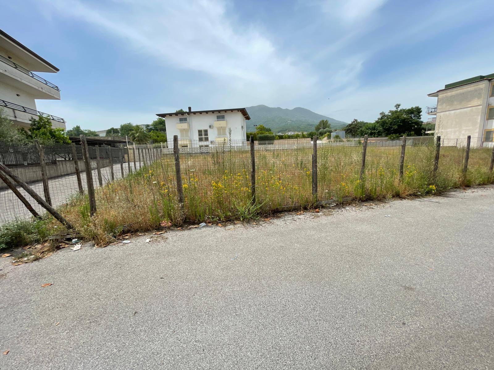 Terreno Agricolo in vendita a Ottaviano