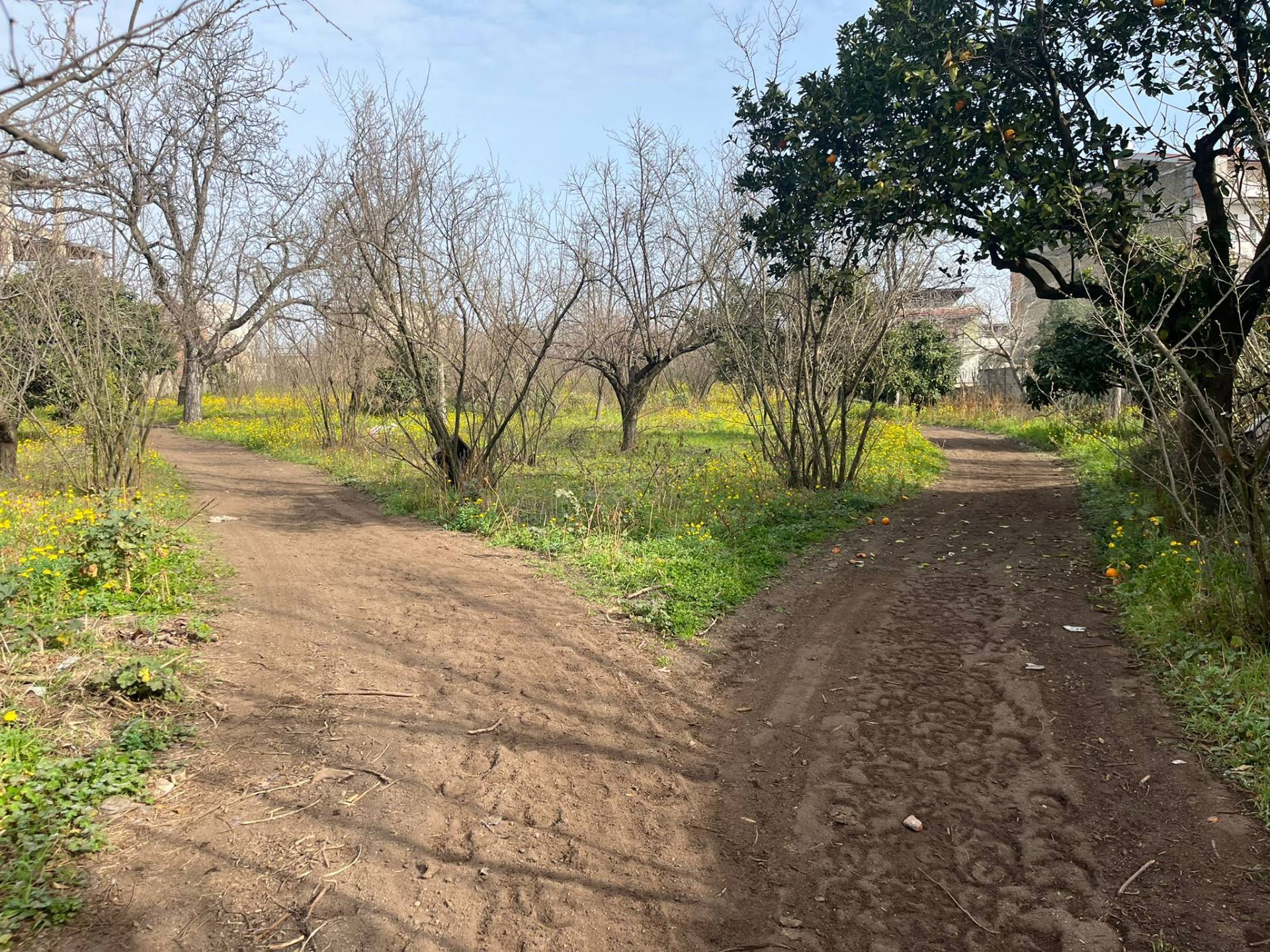 Casa singola in vendita a San Giuseppe Vesuviano