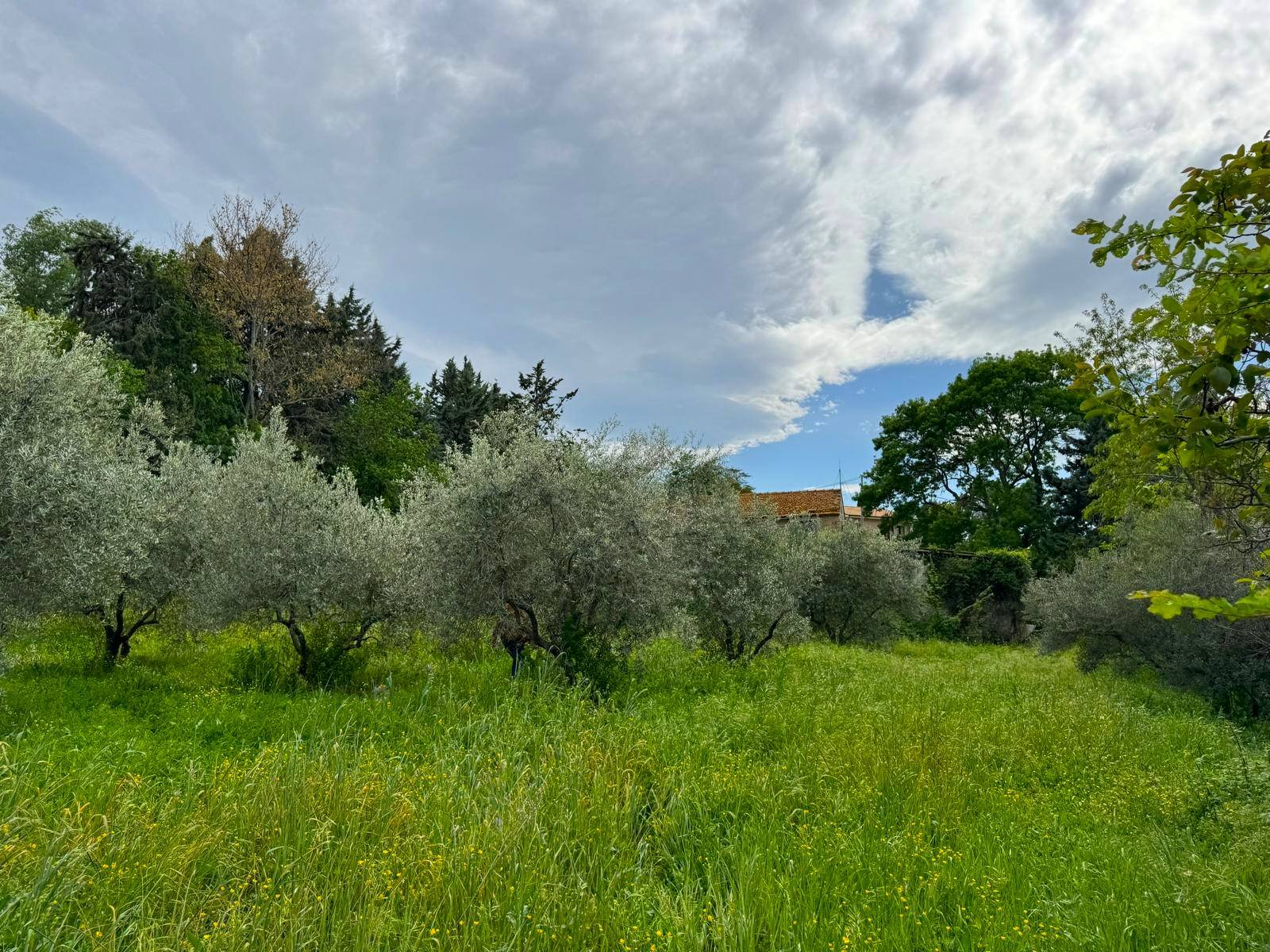 Casa Colonica con Terreno in vendita a Fermo, Tirassegno