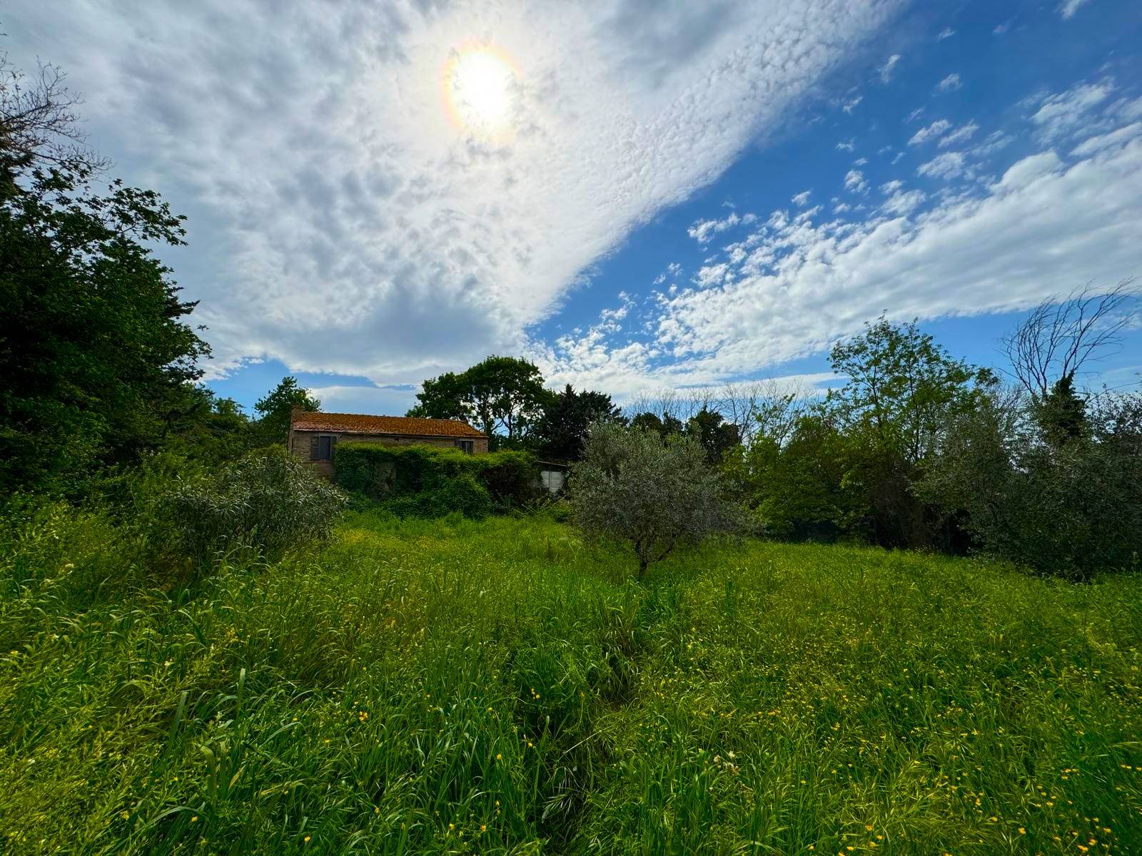 Casa Colonica con Terreno in vendita a Fermo, Tirassegno