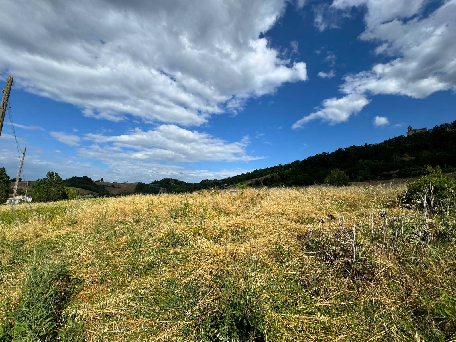 Rudere con terreno in vendita a Monte Giberto