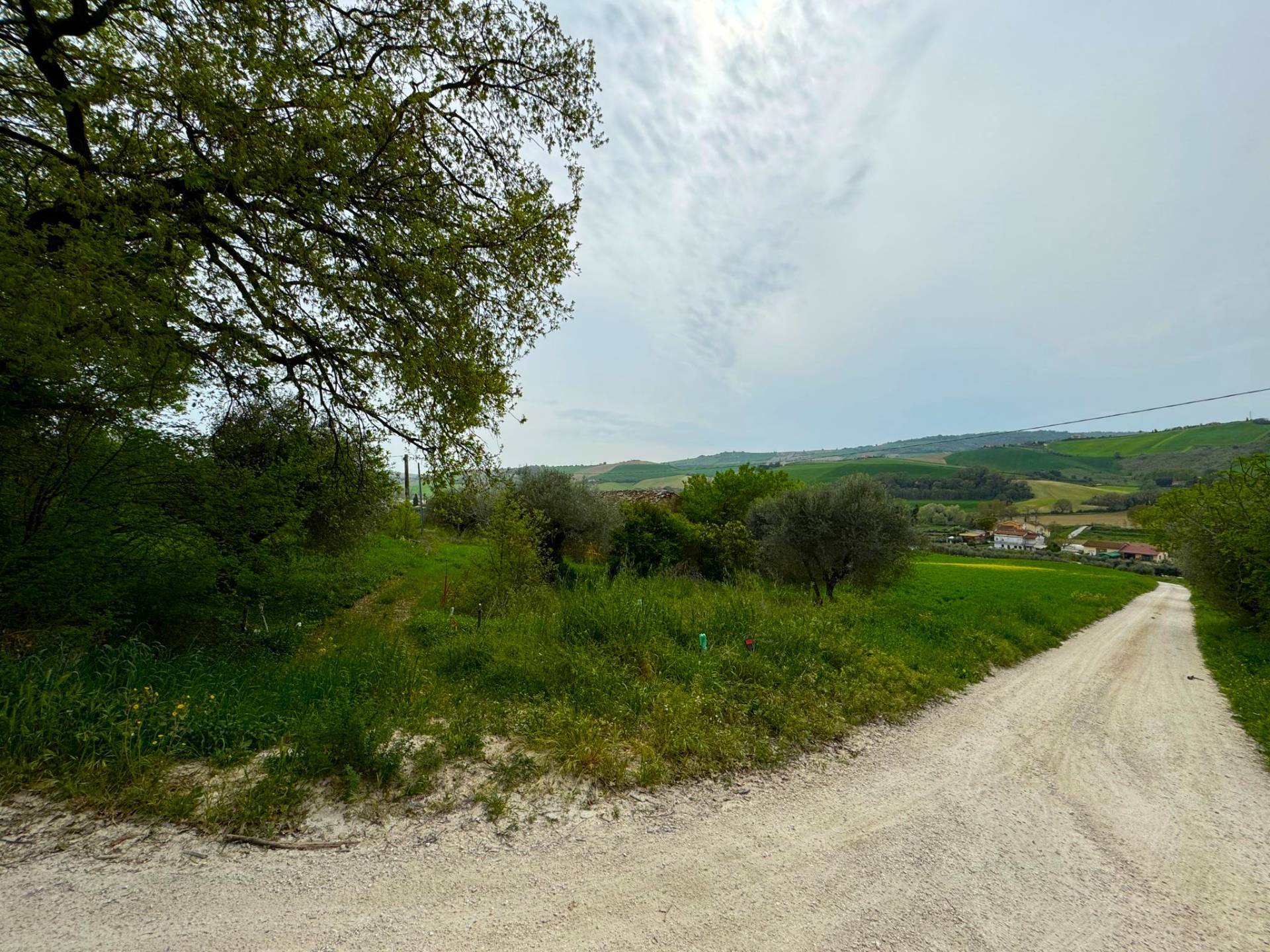 Terreno in vendita a Fermo, Crocifisso