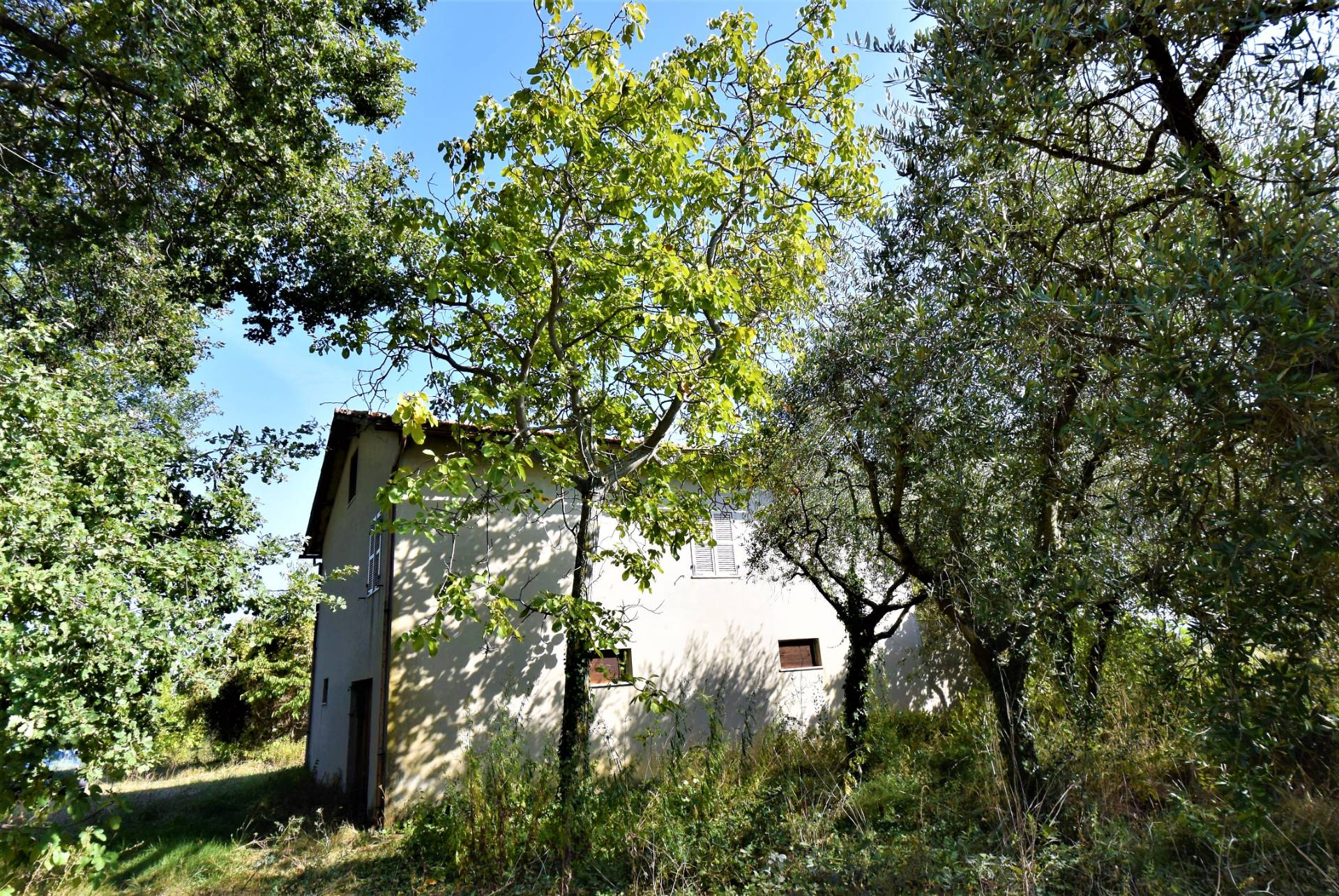 Casa Colonica con Terreno in vendita a Magliano di Tenna