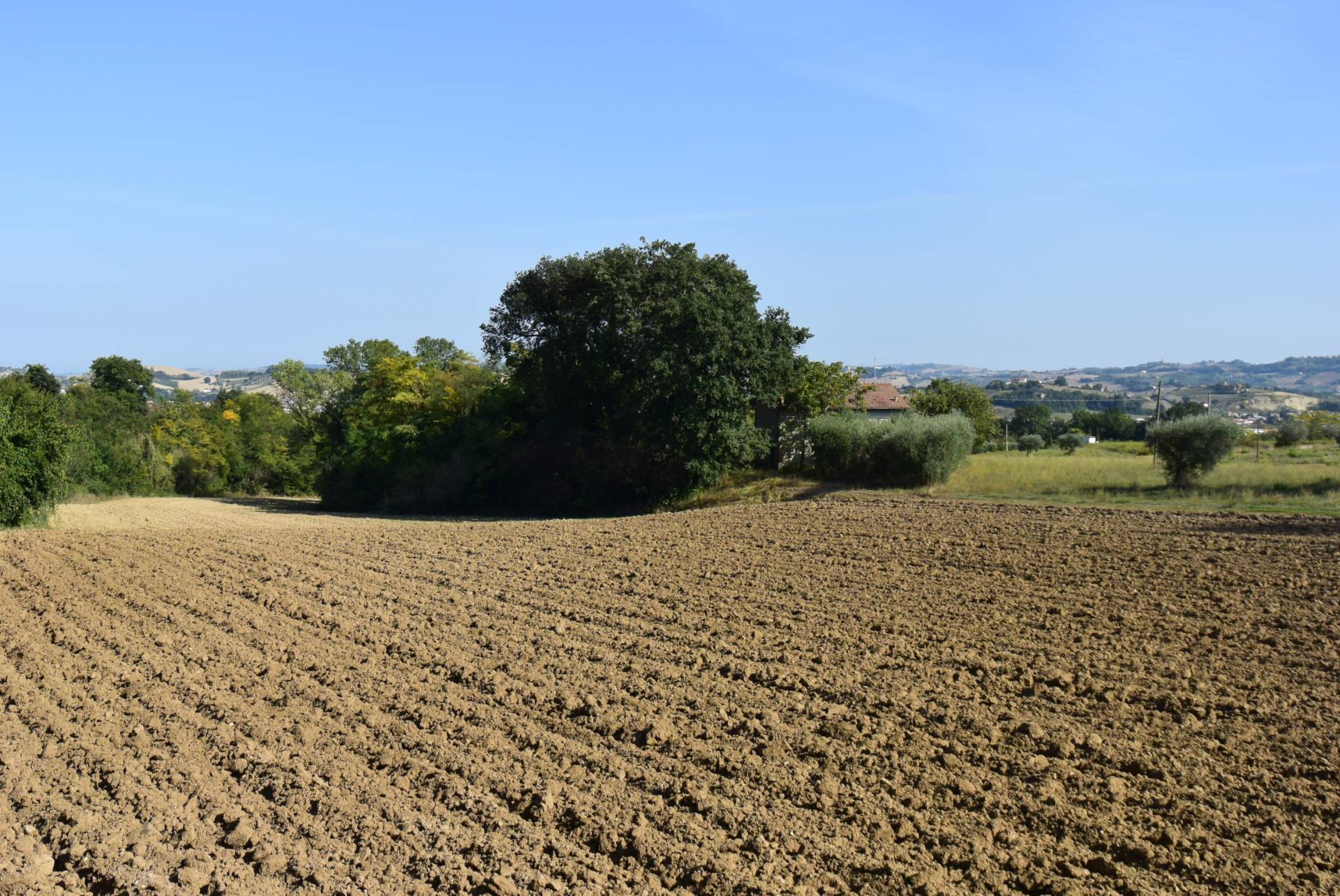 Casa Colonica con Terreno in vendita a Magliano di Tenna