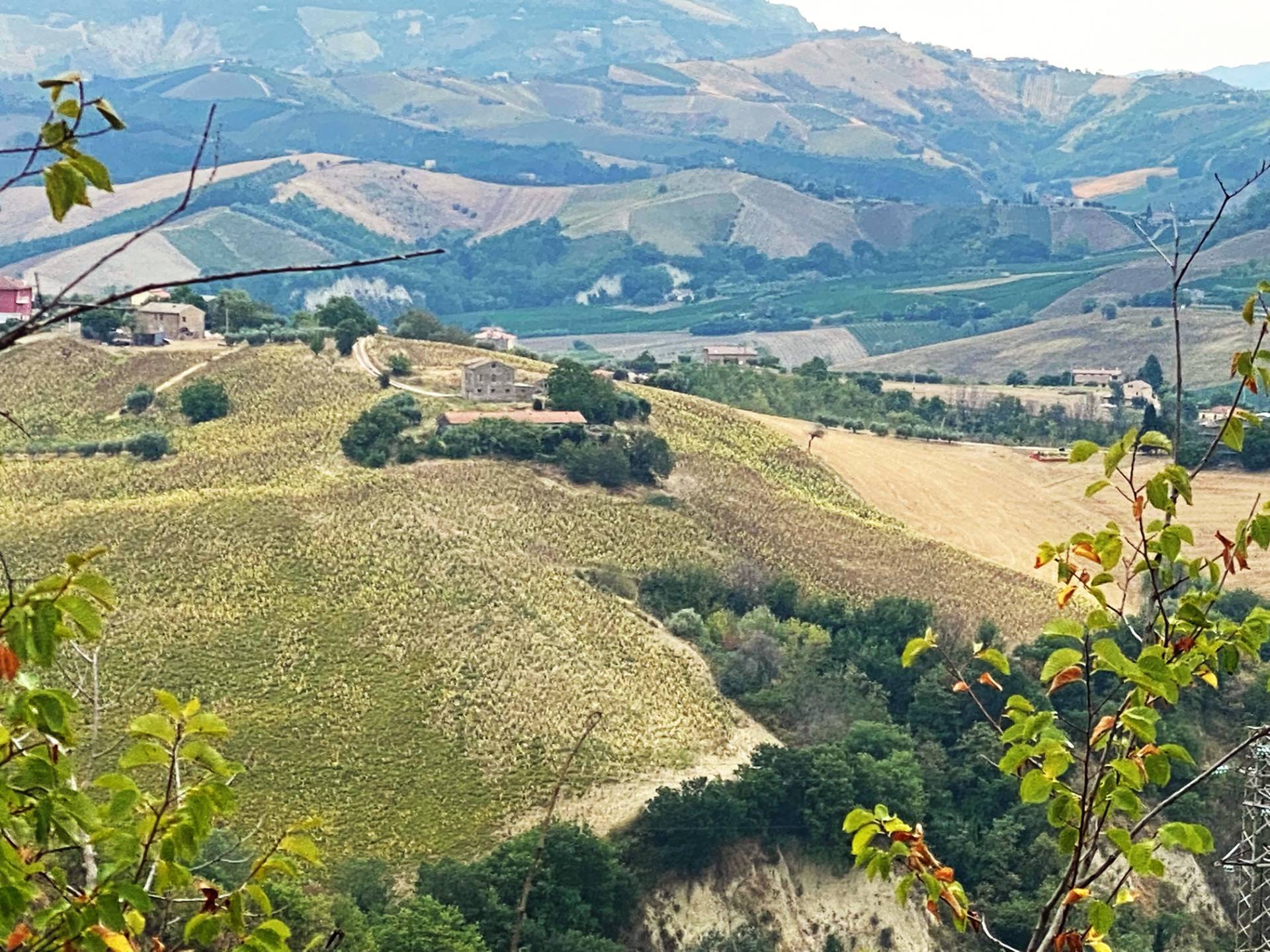 Terreno in vendita a Carassai
