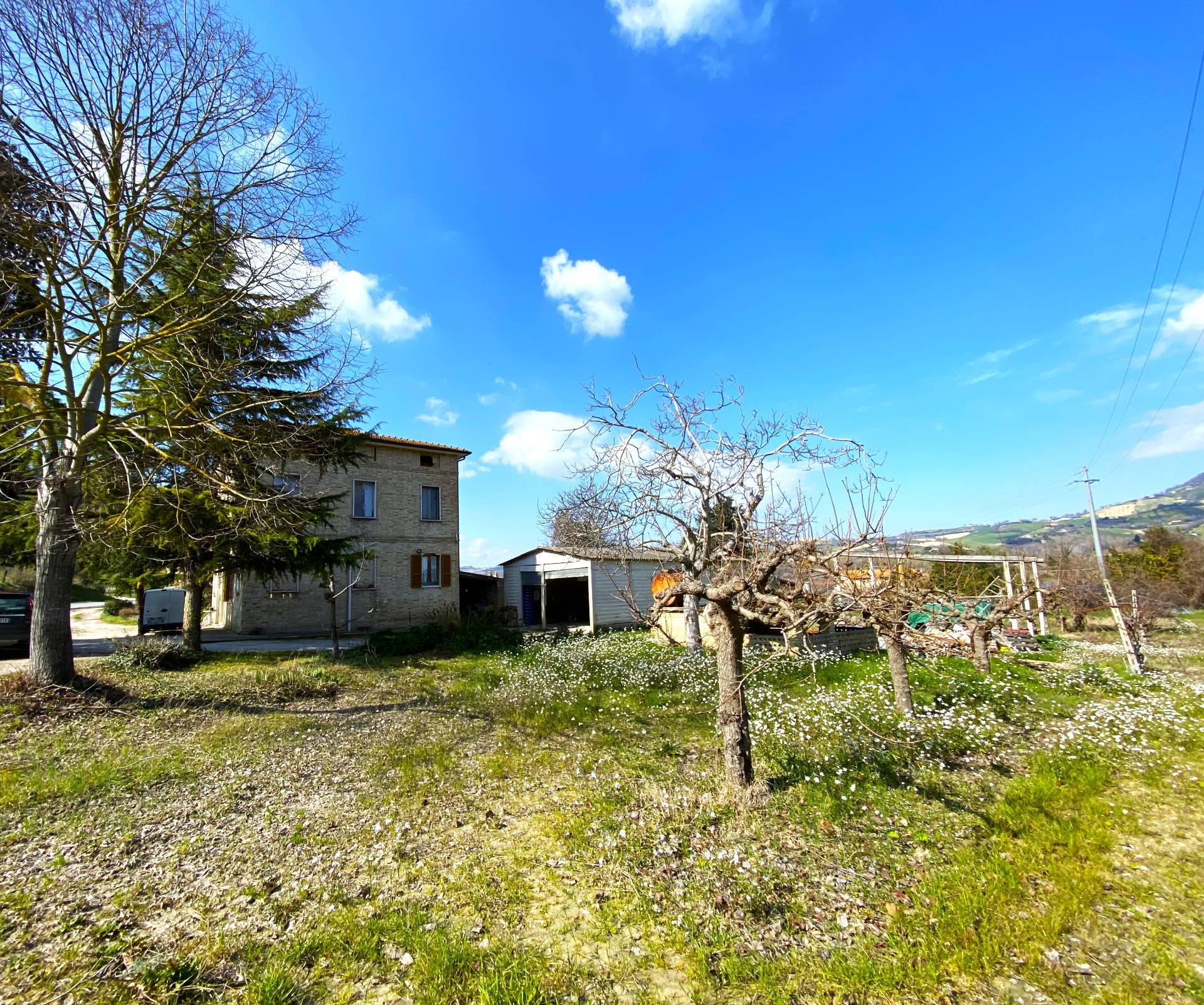 Casa singola - Soluzione indipendente in vendita a Montefiore dell'Aso, Aso