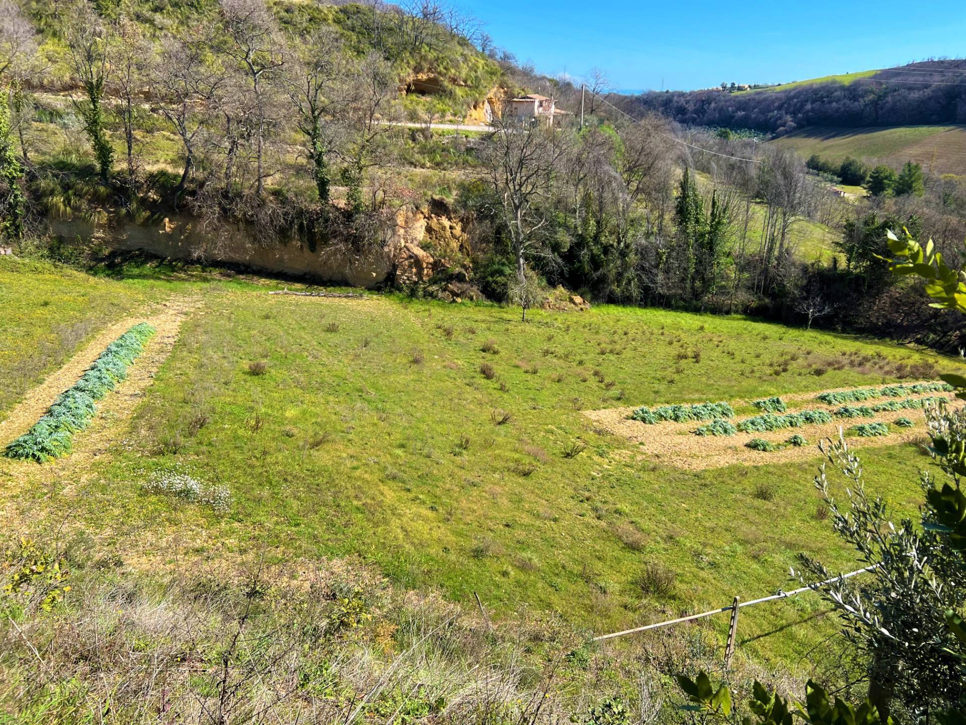 Casa singola - Soluzione indipendente in vendita a Montefiore dell'Aso, Aso