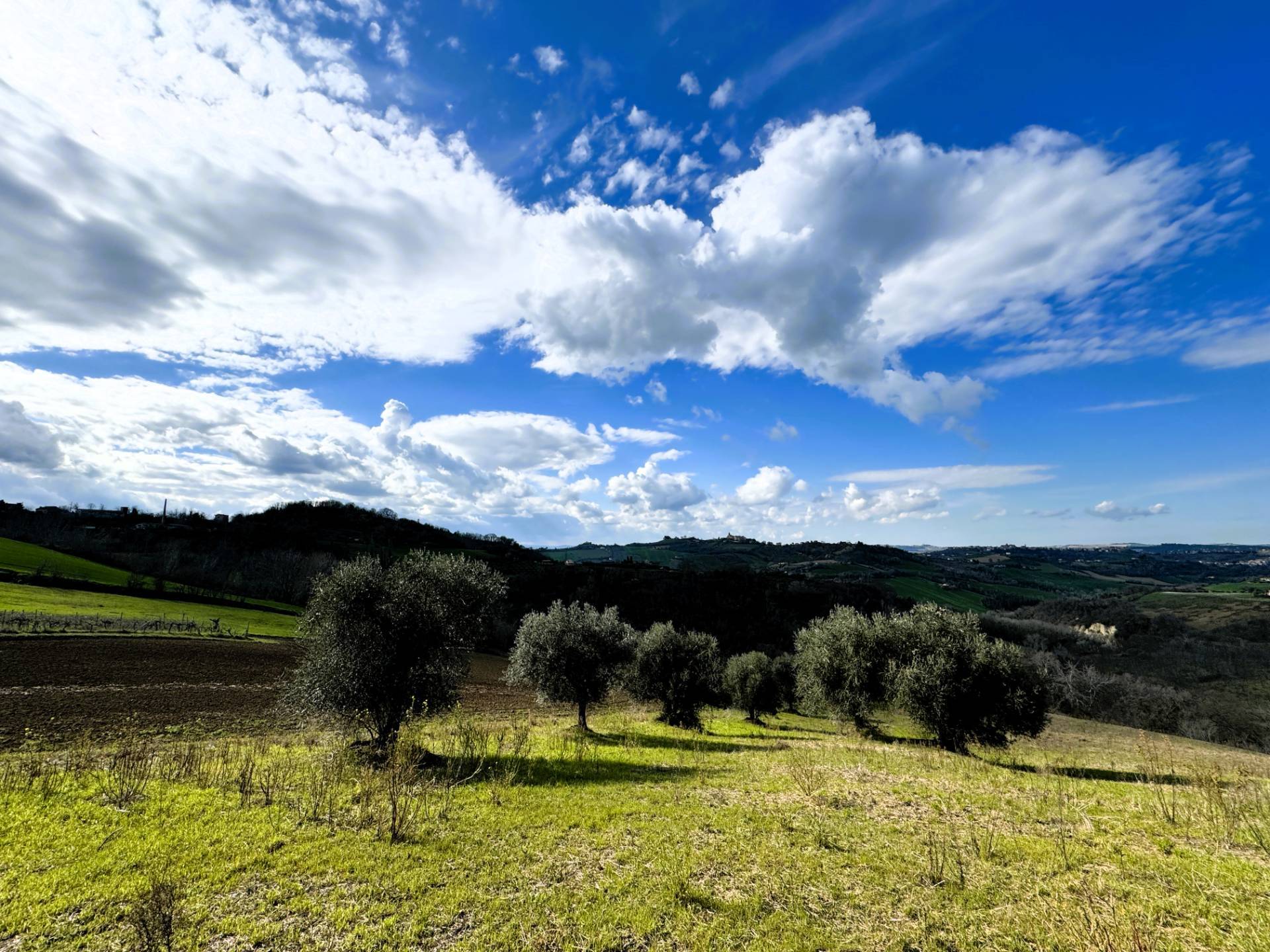 Casa singola - Soluzione indipendente in vendita a Petritoli