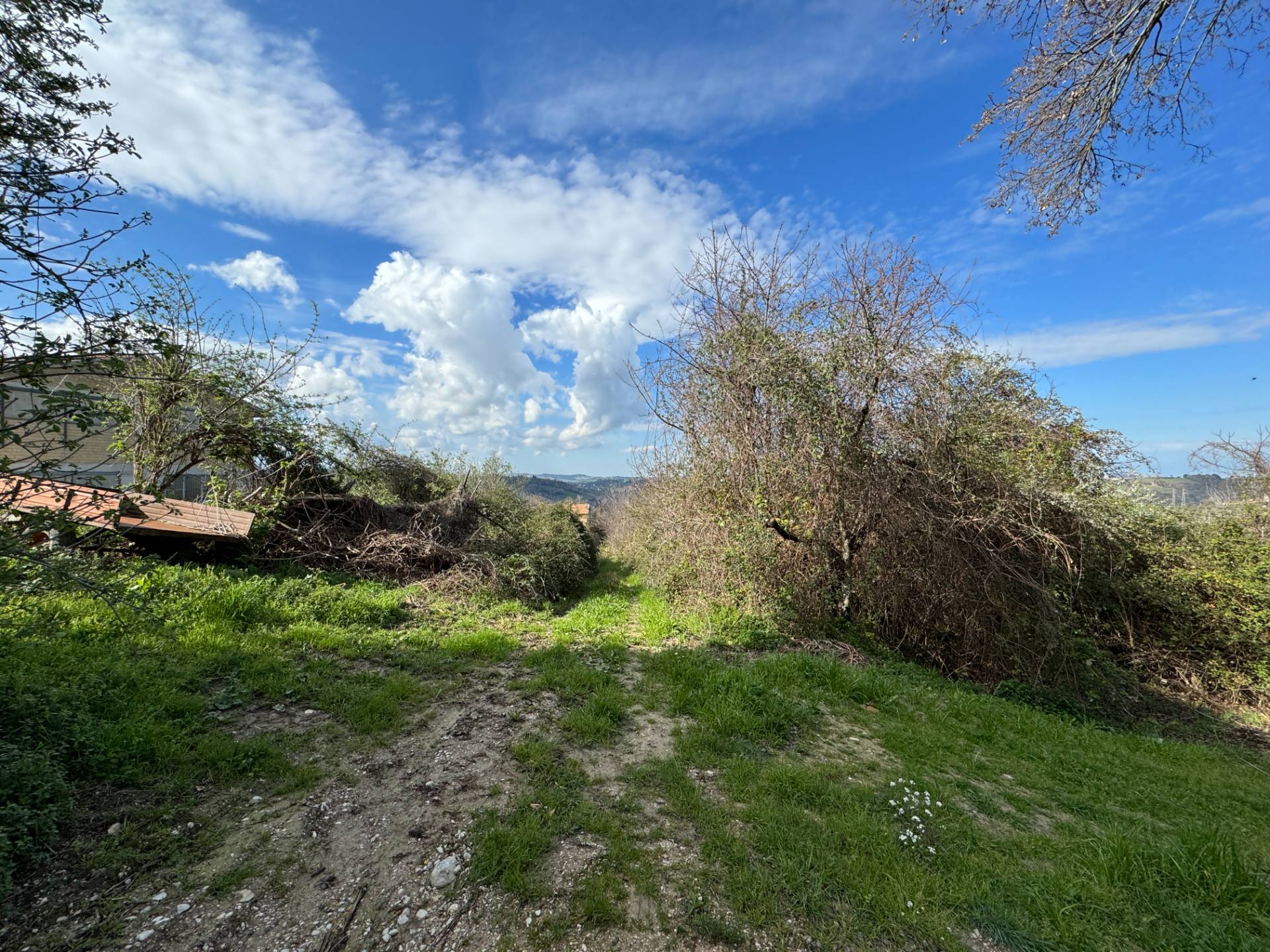 Casa singola - Soluzione indipendente in vendita a Petritoli