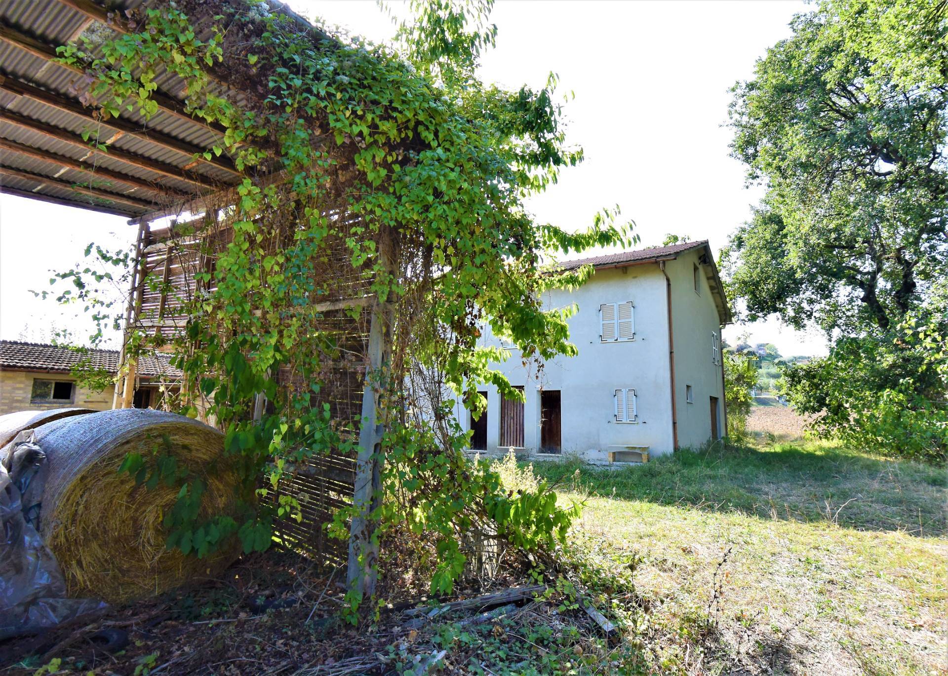 Casa Colonica con Terreno in vendita a Fermo