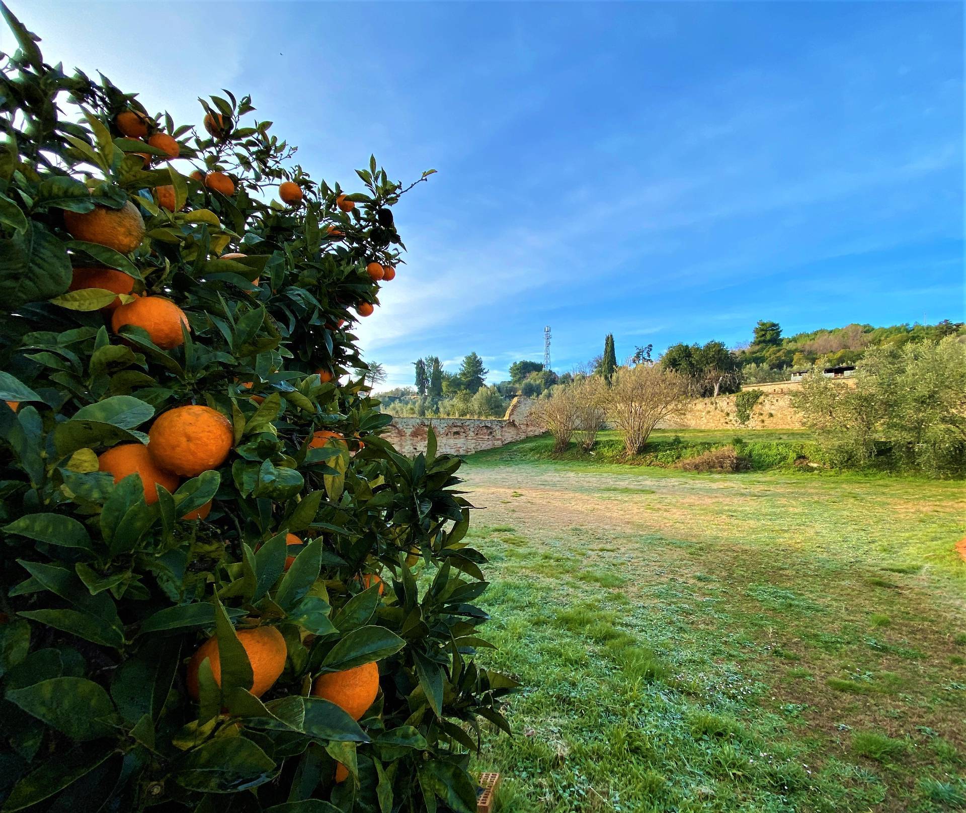Villa con Giardino in vendita a Fermo, Marina Palmense