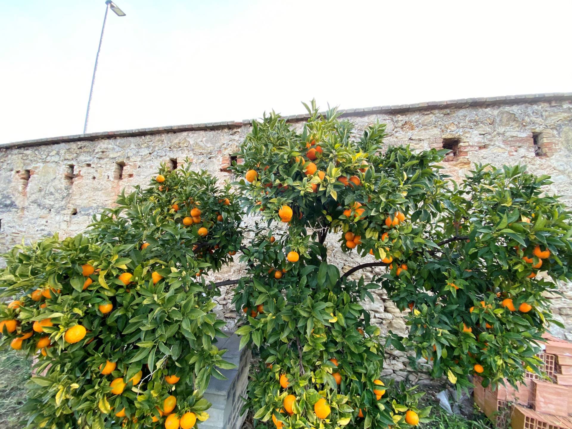 Villa con Giardino in vendita a Fermo, Marina Palmense