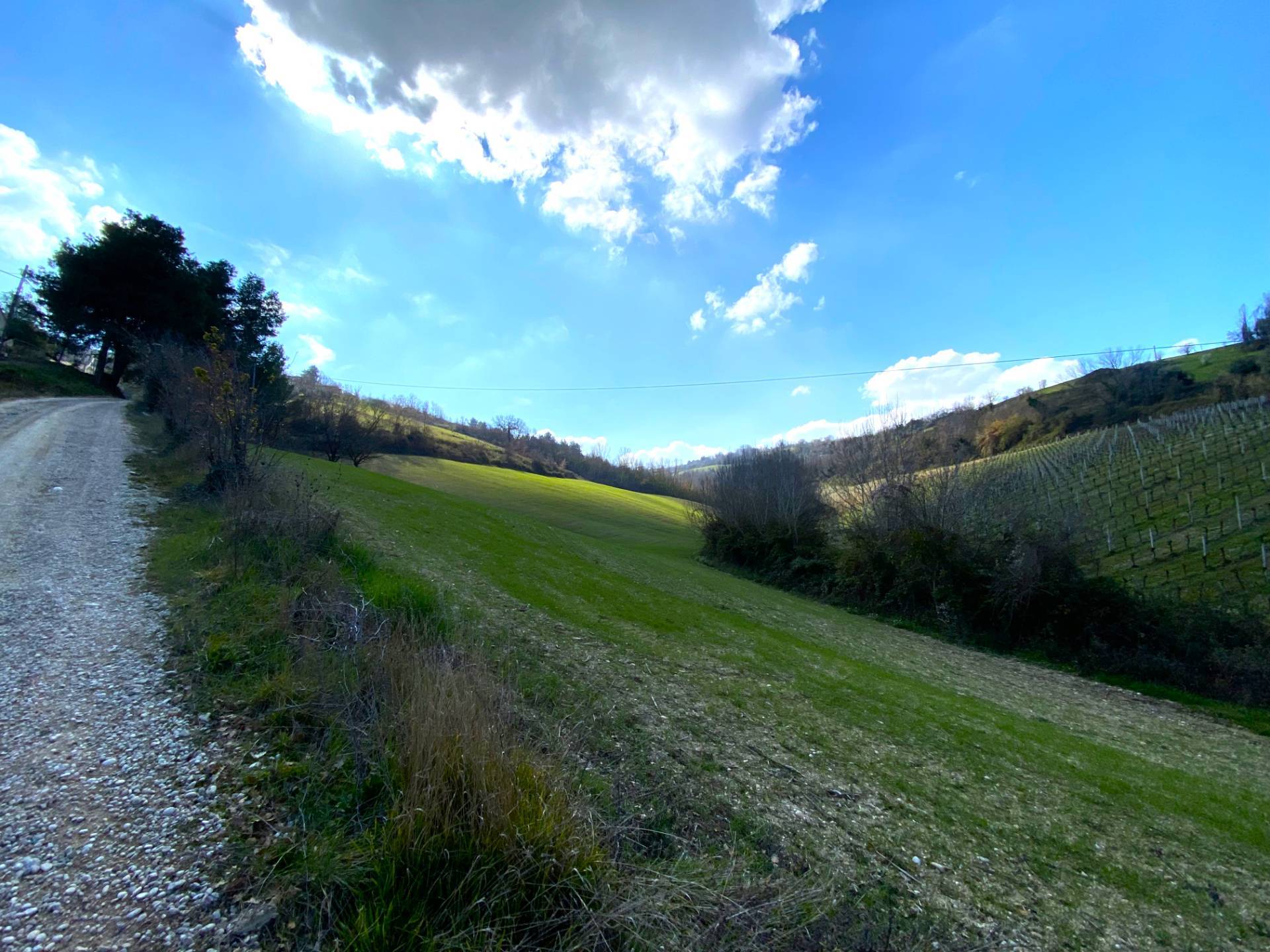 Casa singola - Soluzione indipendente in vendita a Montefiore dell'Aso, Aso