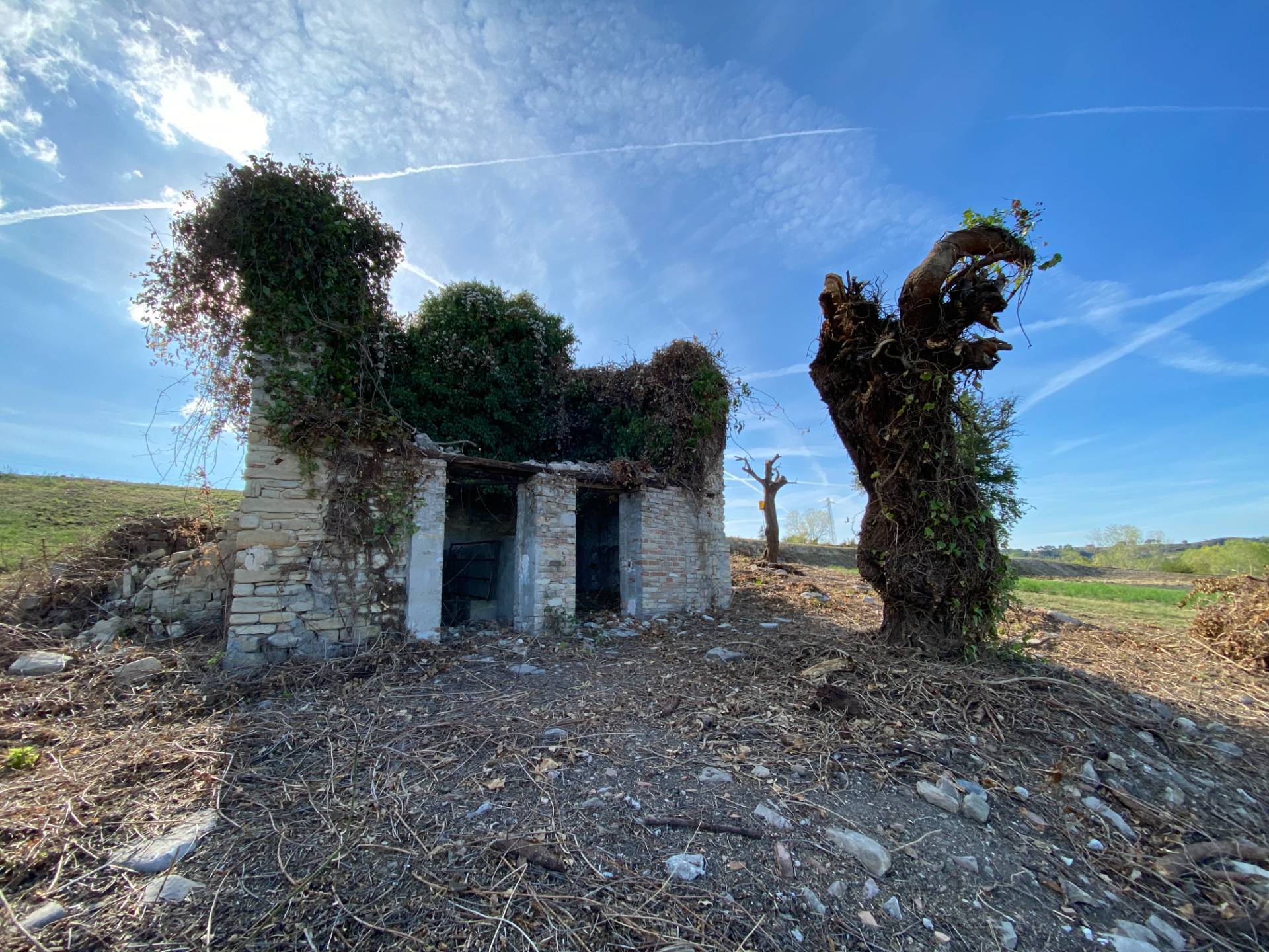 Casa Colonica con Terreno in vendita a Monte Rinaldo