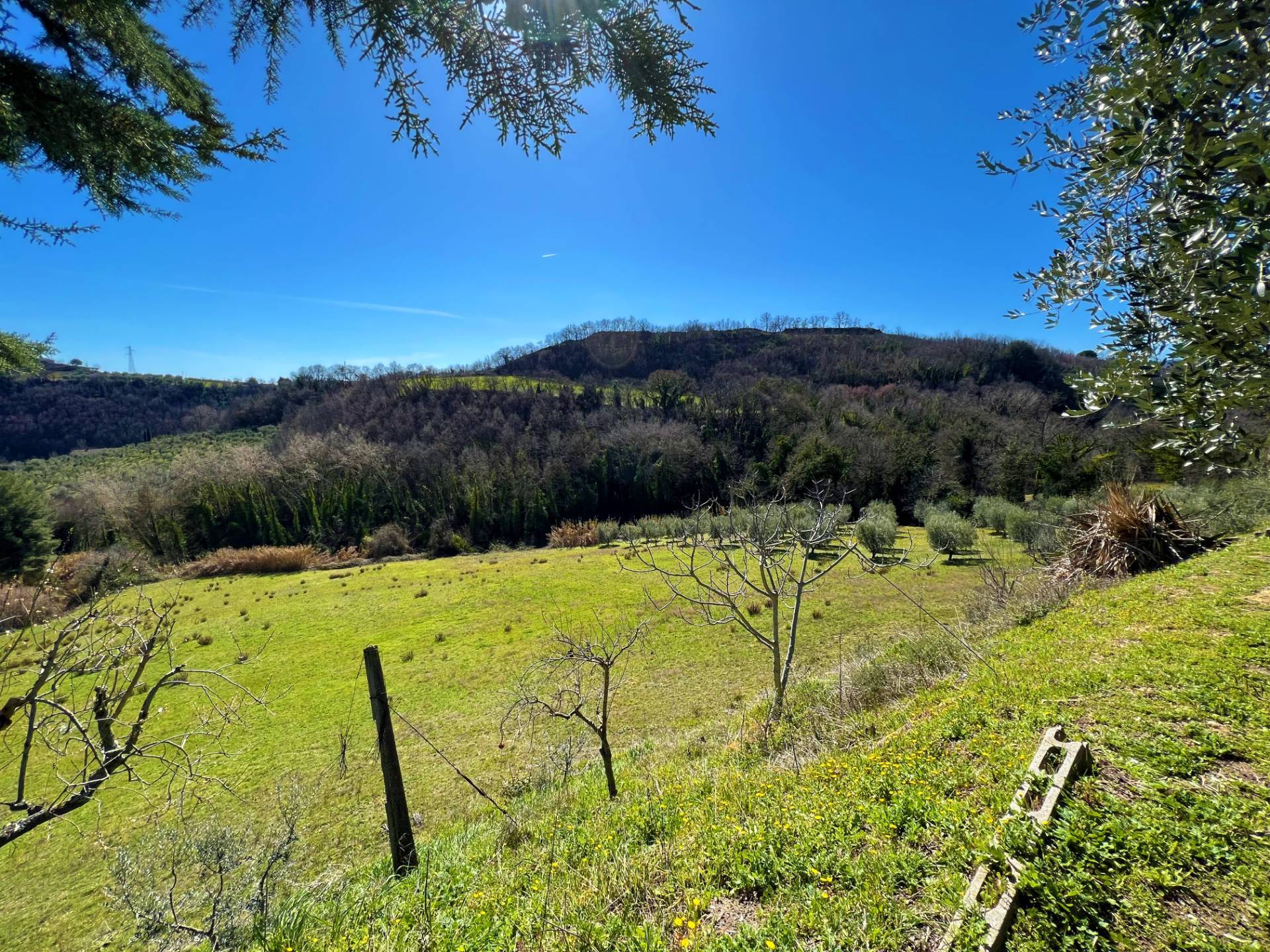 Casa singola - Soluzione indipendente in vendita a Montefiore dell'Aso, Aso