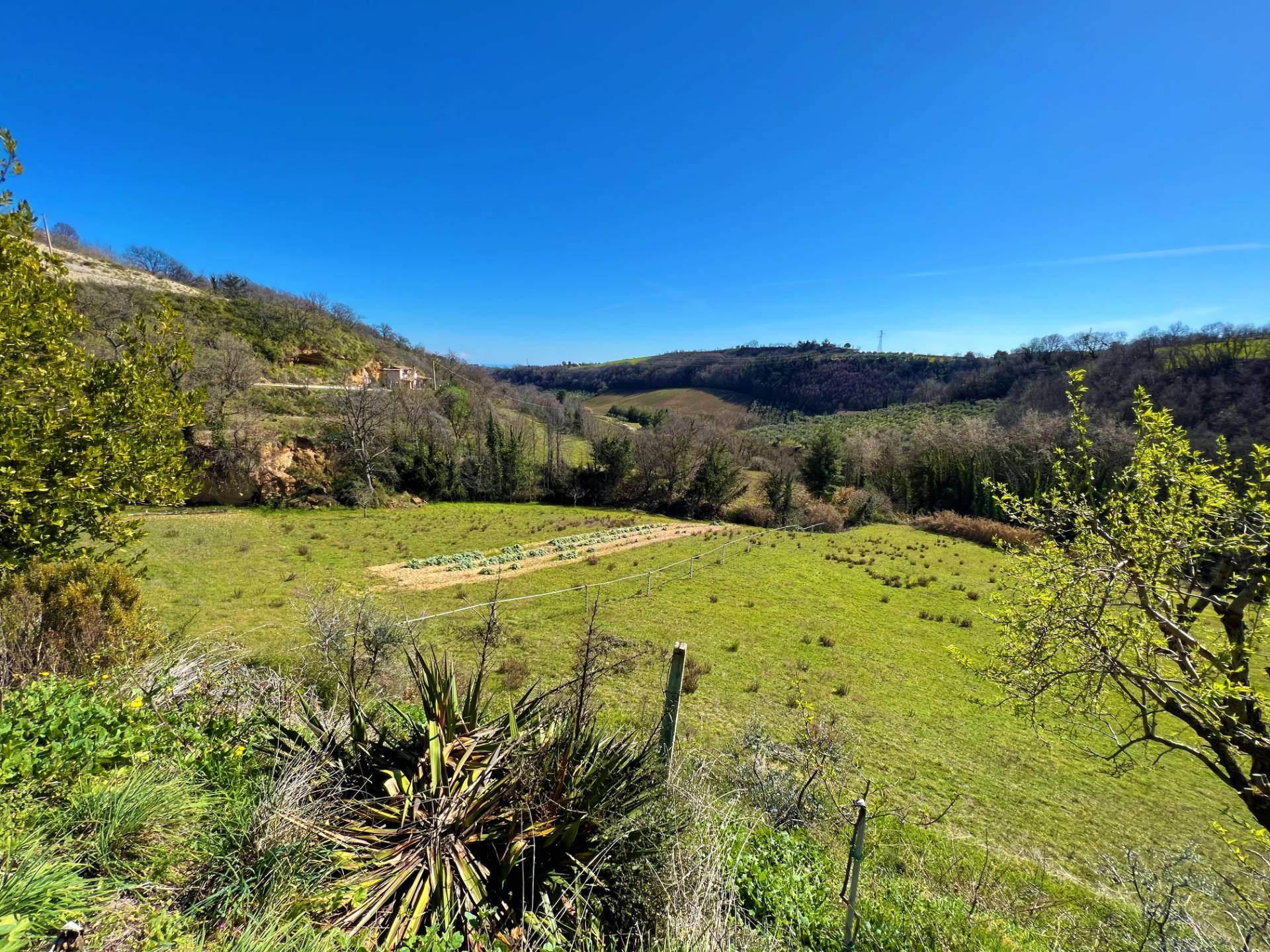 Casa singola - Soluzione indipendente in vendita a Montefiore dell'Aso, Aso