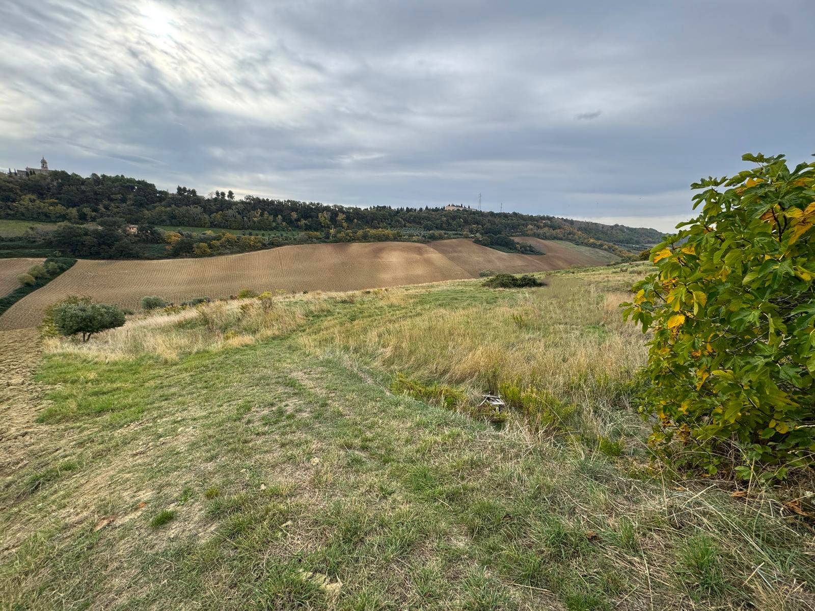 Terreno in vendita a Altidona, Marina di Altidona