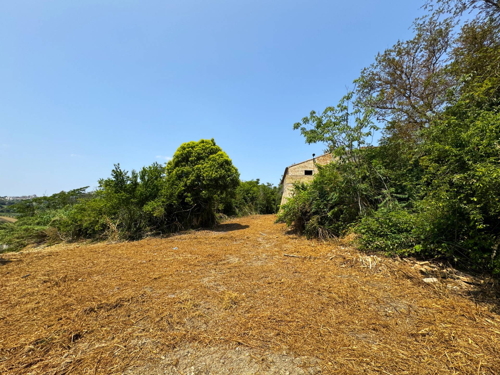 Casa Colonica con Terreno in vendita a Sant'Elpidio a Mare