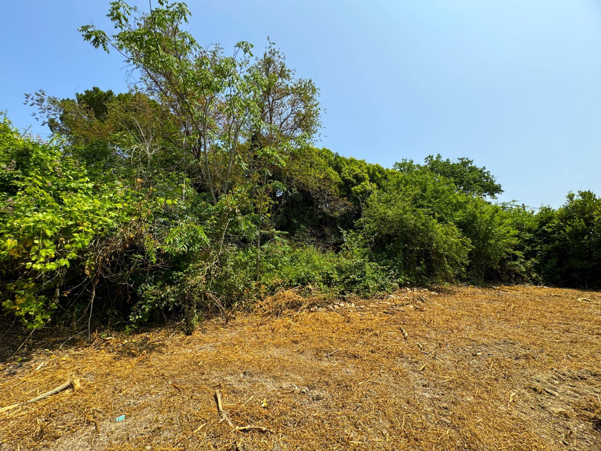 Casa Colonica con Terreno in vendita a Sant'Elpidio a Mare
