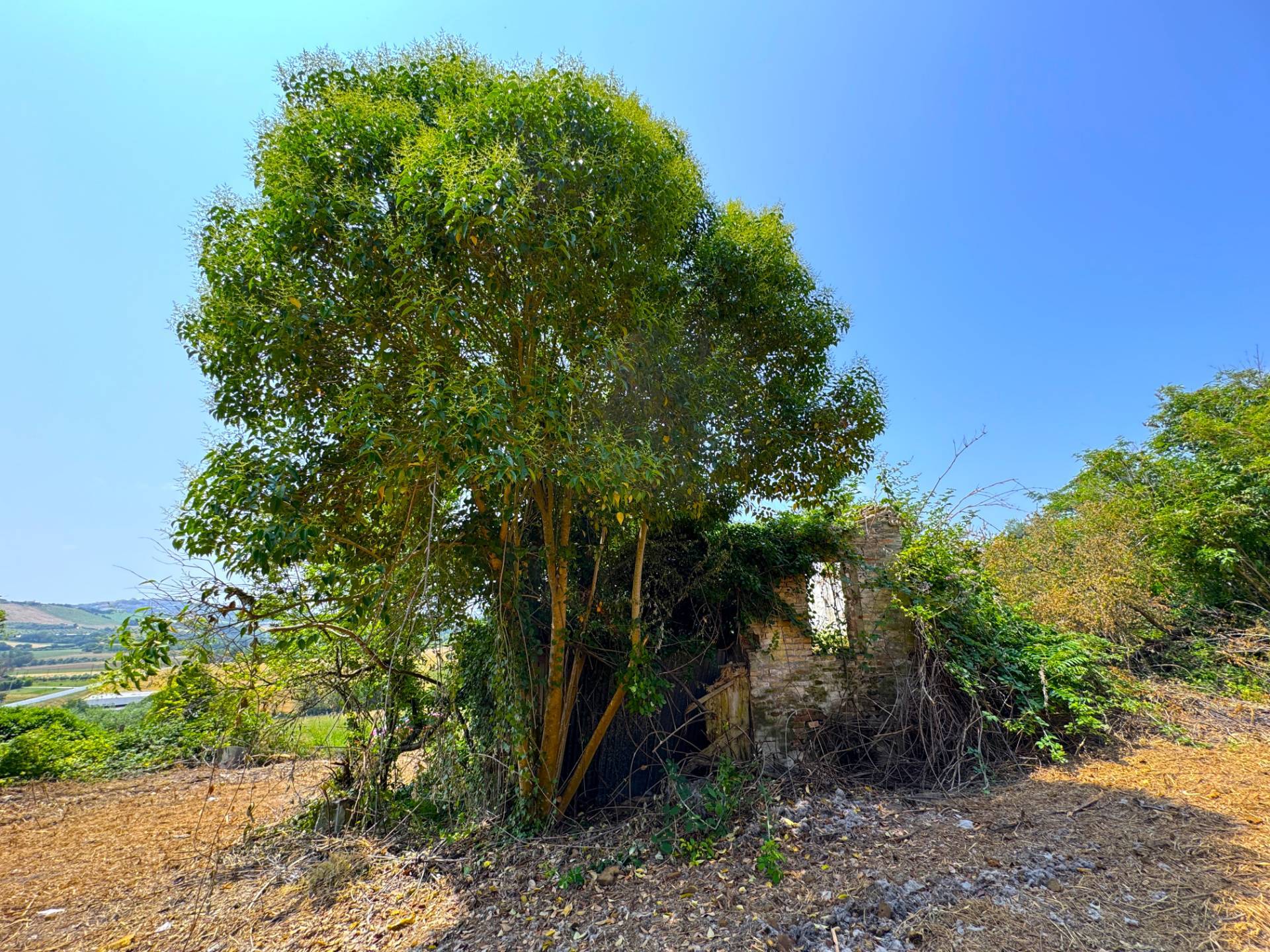 Casa Colonica con Terreno in vendita a Sant'Elpidio a Mare