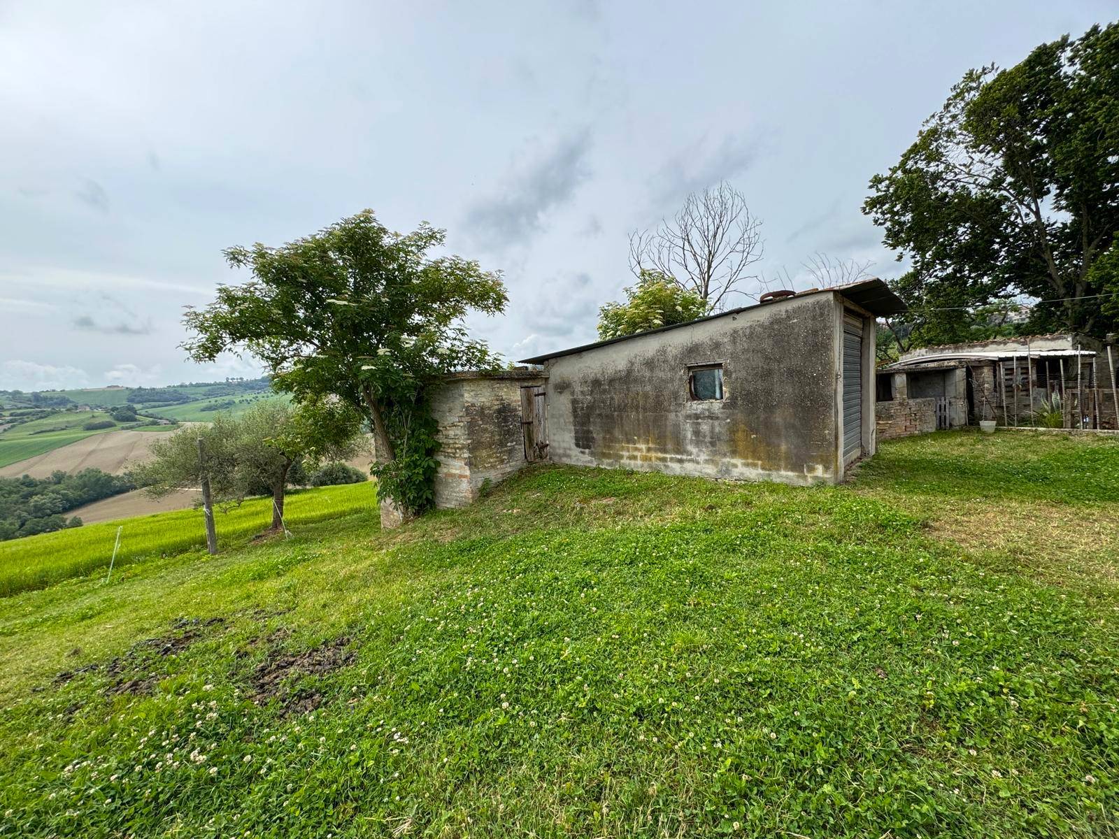 Rudere con terreno in vendita a Torre San Patrizio