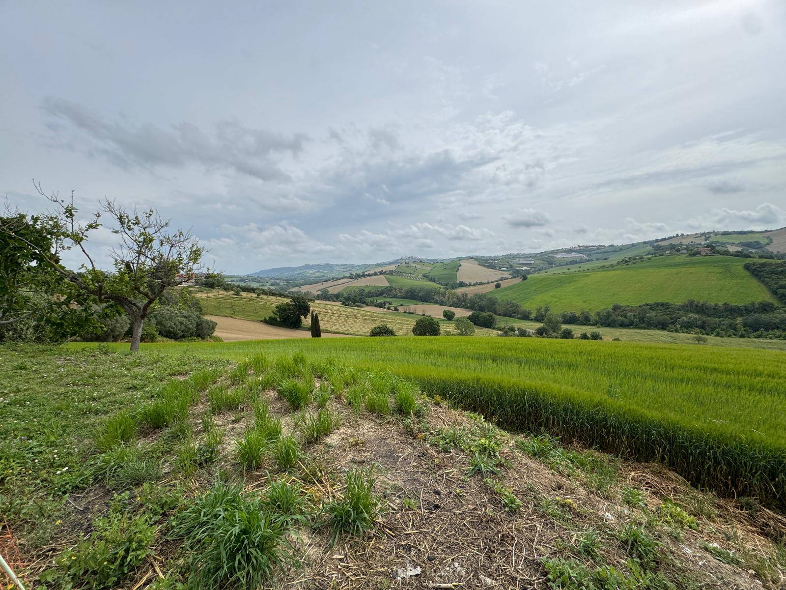 Rudere con terreno in vendita a Torre San Patrizio