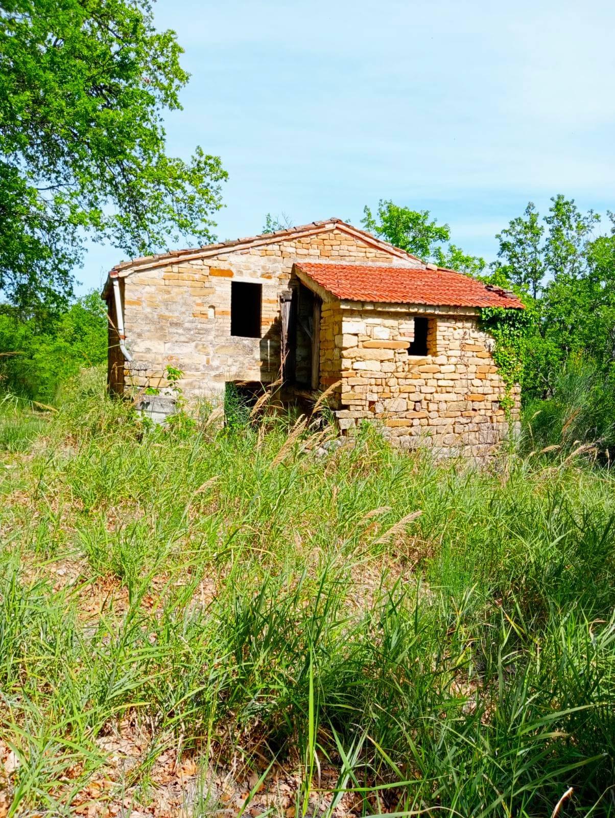 Rudere con terreno in vendita a Montelparo