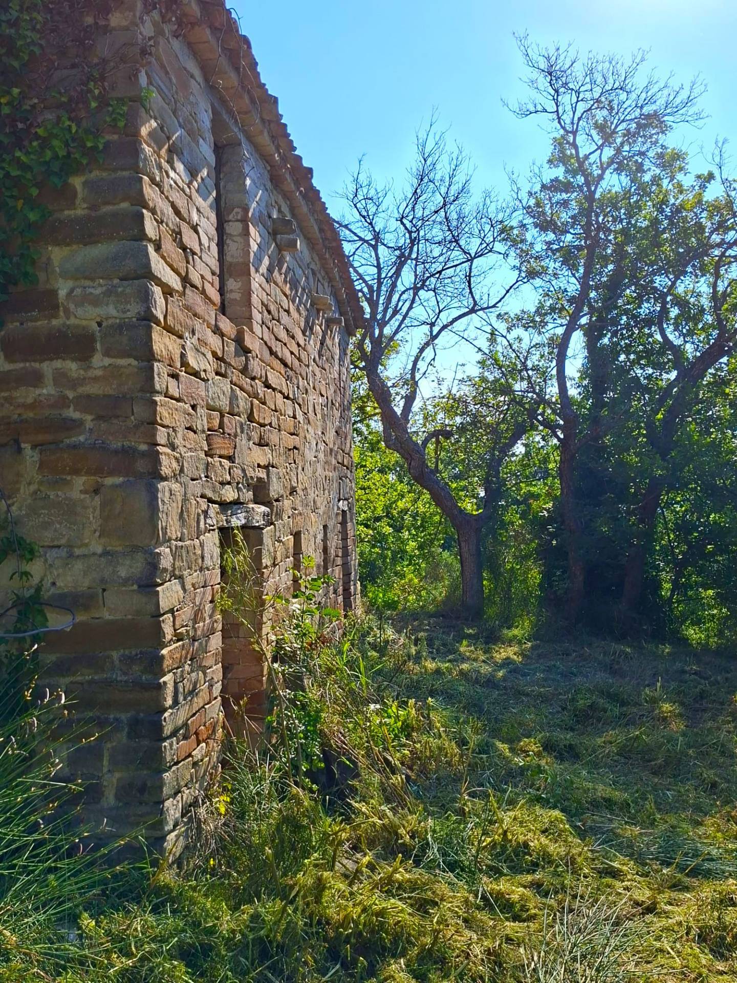 Rudere con terreno in vendita a Montelparo