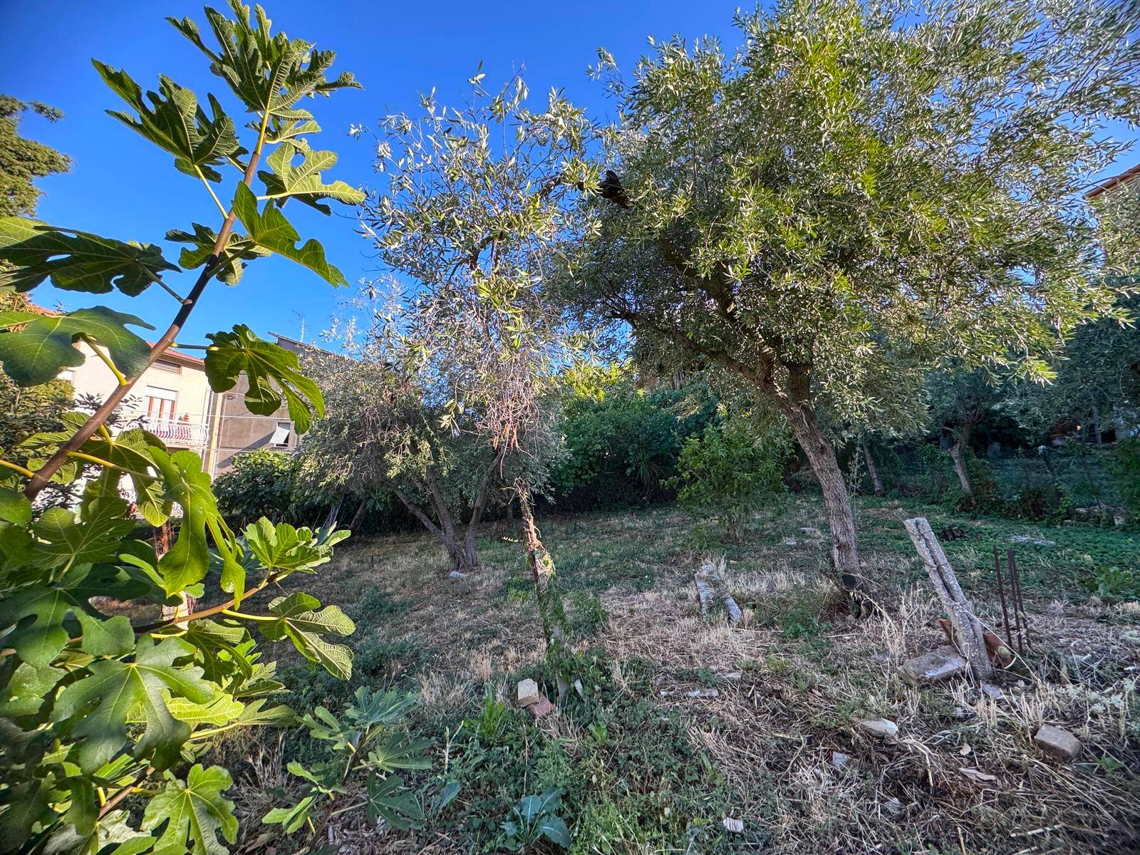 Casa singola - Soluzione indipendente in vendita a Porto San Giorgio, Centro