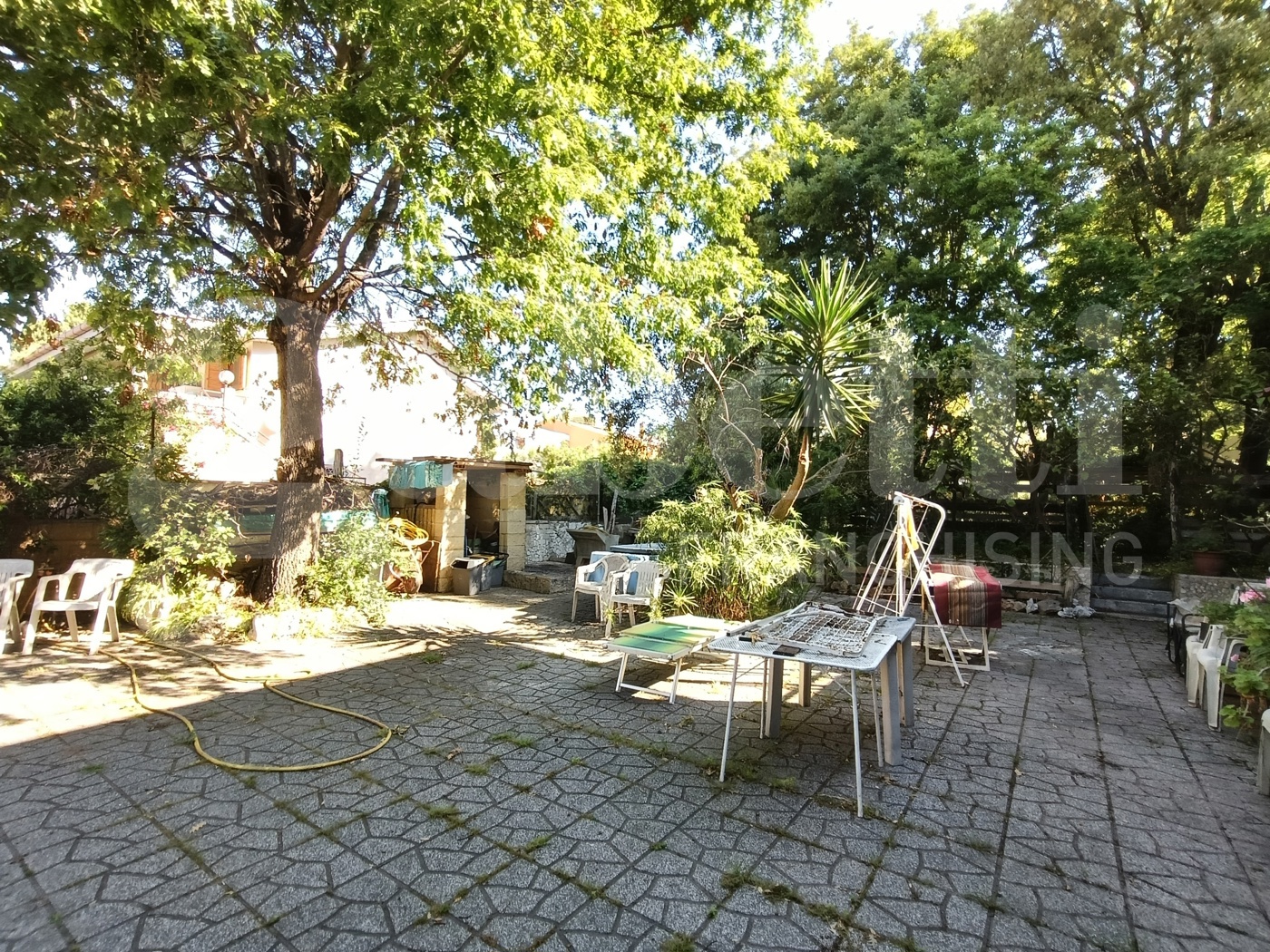 immagine annuncio 2 di 6