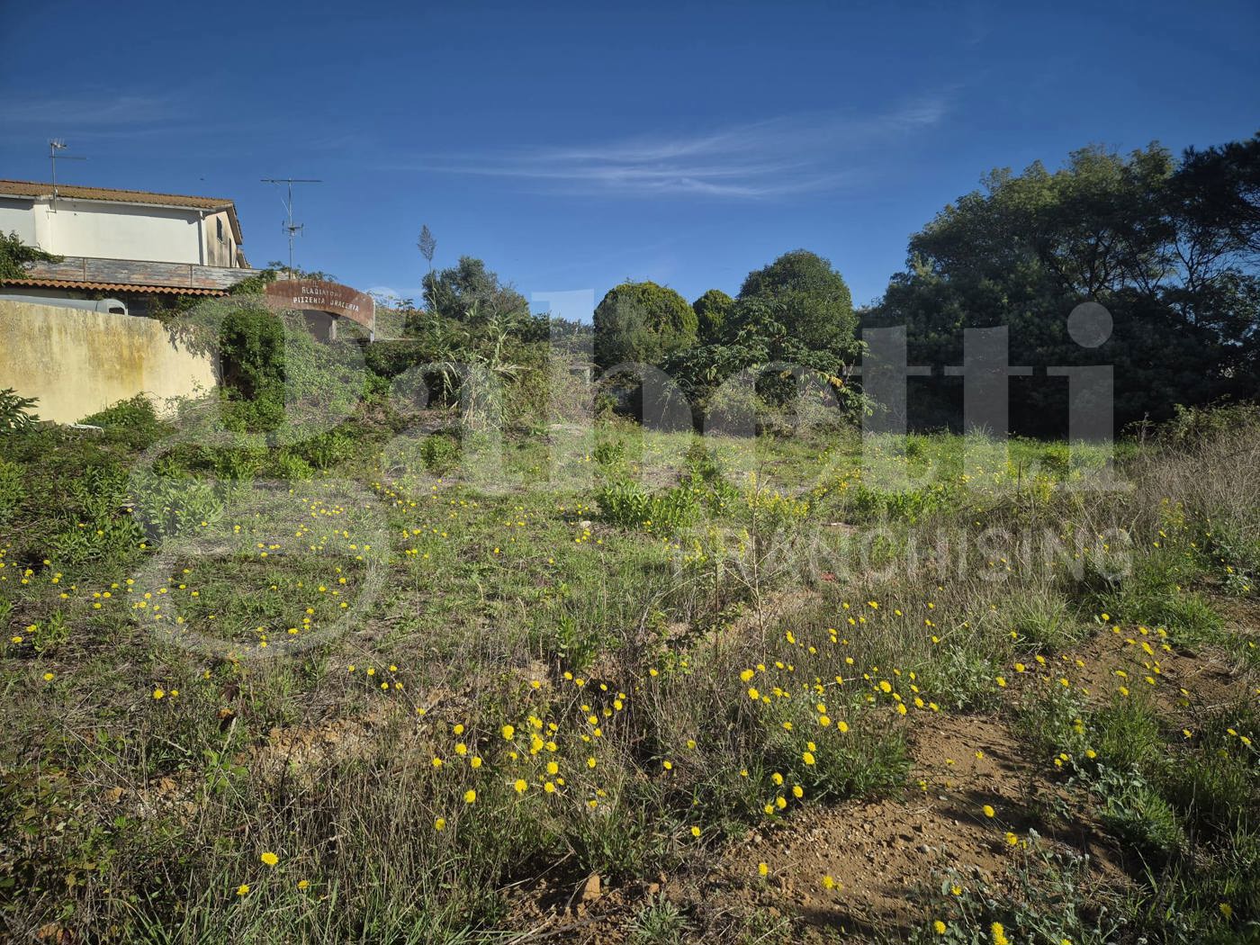 immagine annuncio 2 di 7