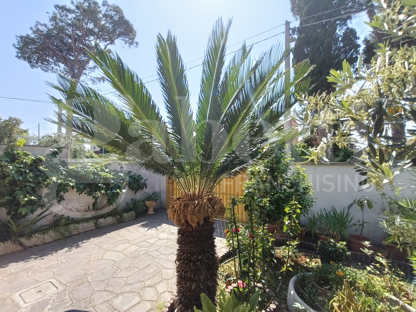 Villa con giardino a Anzio
