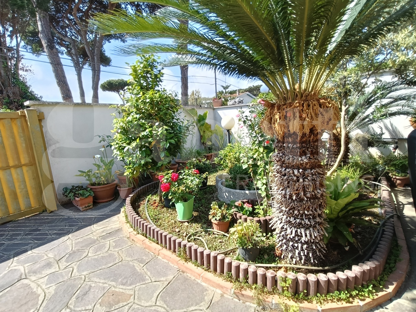 Villa con giardino a Anzio
