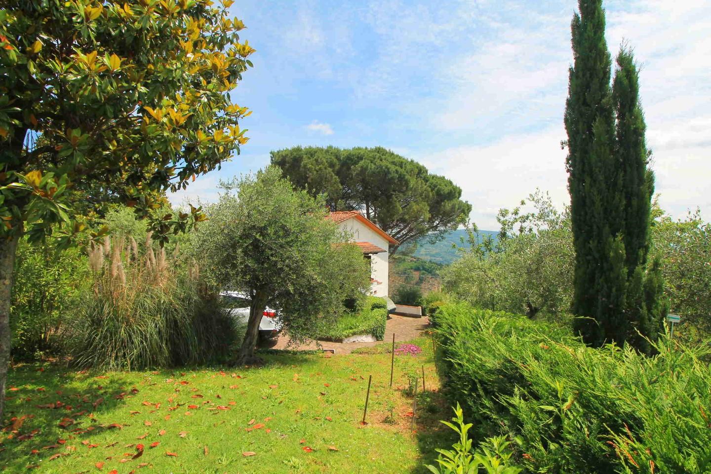immagine annuncio 3 di 6