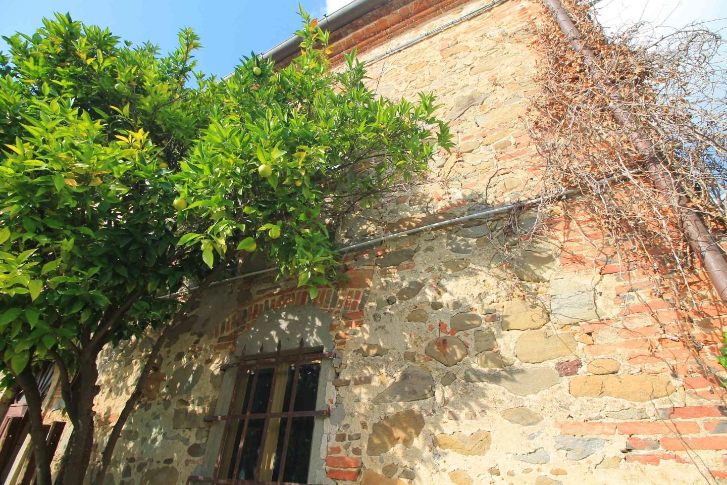 immagine annuncio 1 di 6