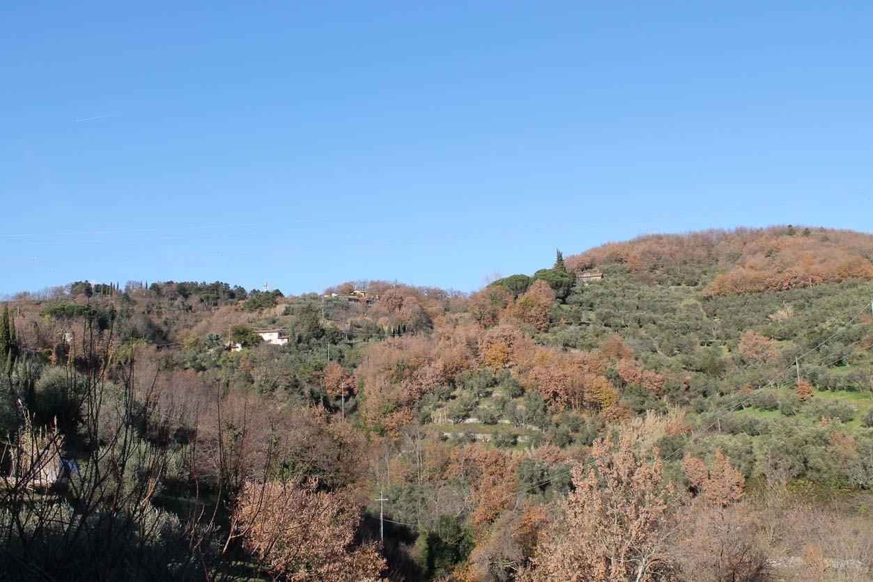 immagine annuncio 4 di 6