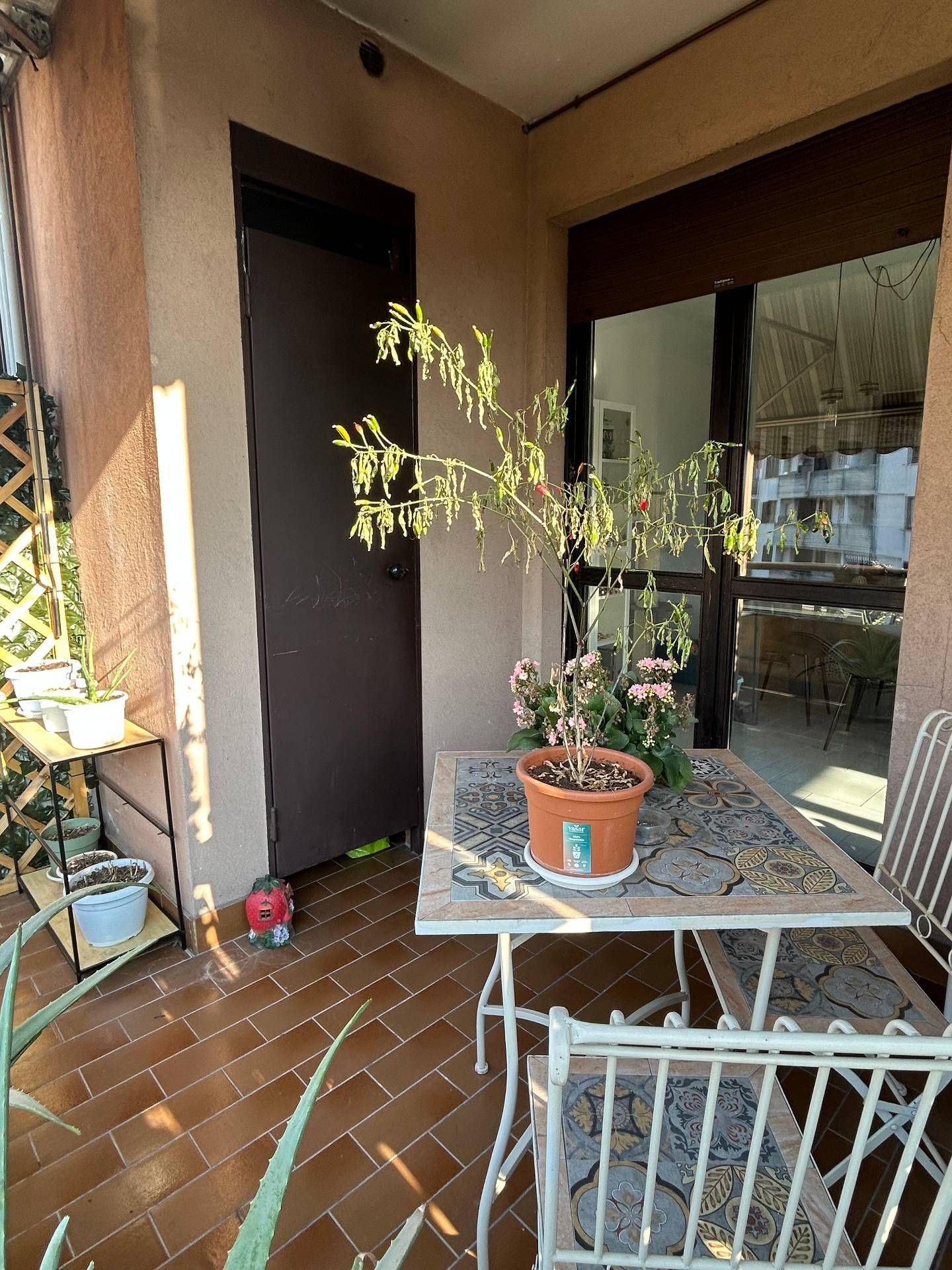 Appartamento 3 Locali in vendita a Busto Arsizio