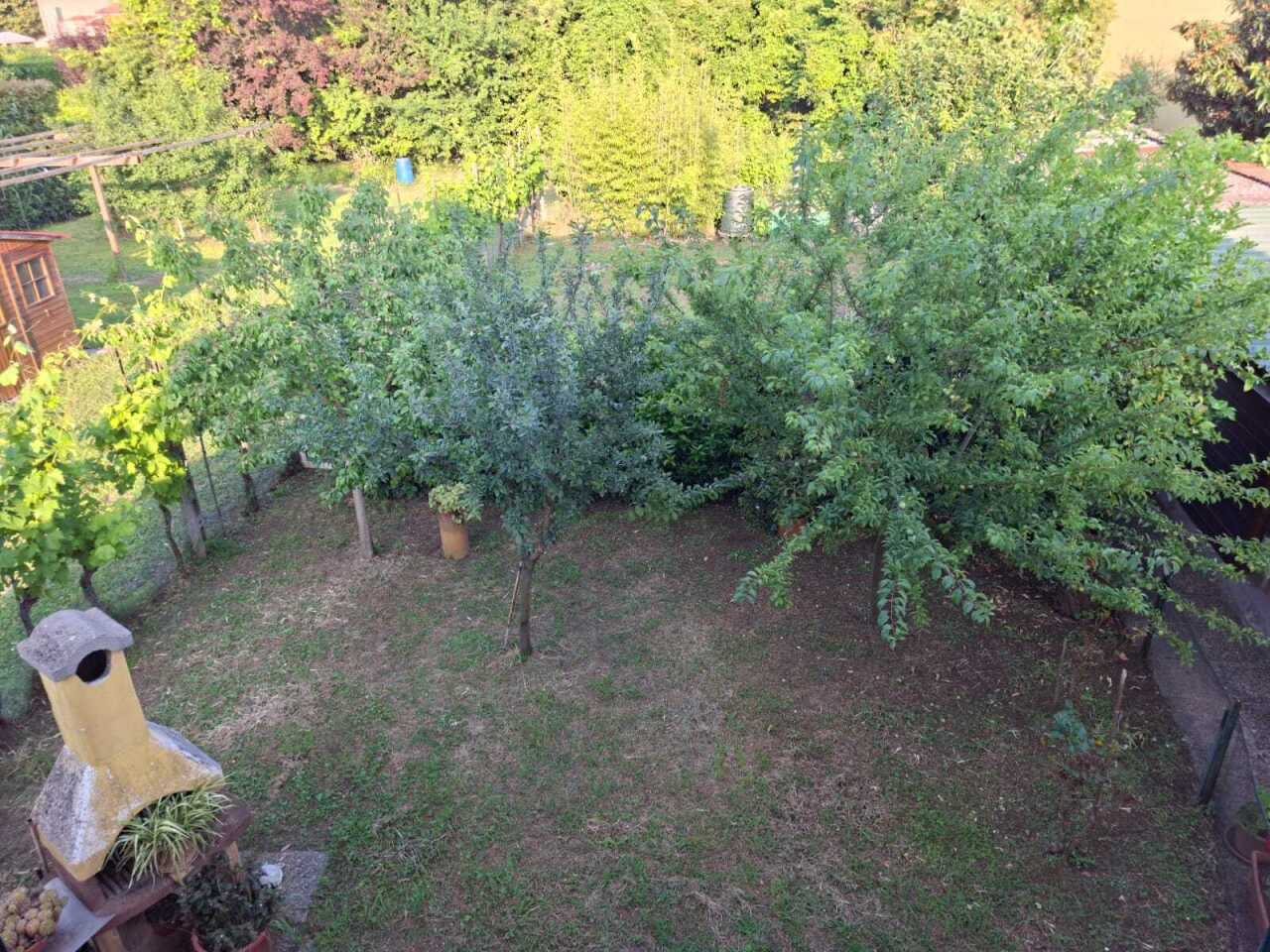 Casa indipendente in vendita, San Giuliano Terme gello