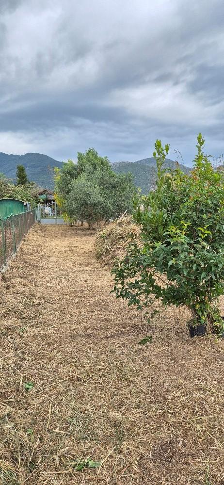 Casa indipendente con giardino, San Giuliano Terme gello