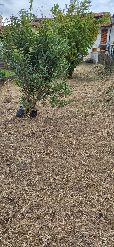 Casa indipendente con giardino, San Giuliano Terme gello
