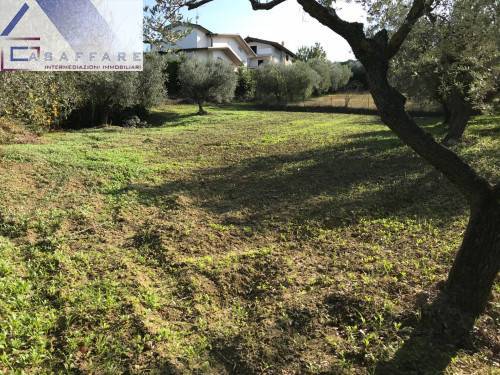 immagine annuncio 4 di 6