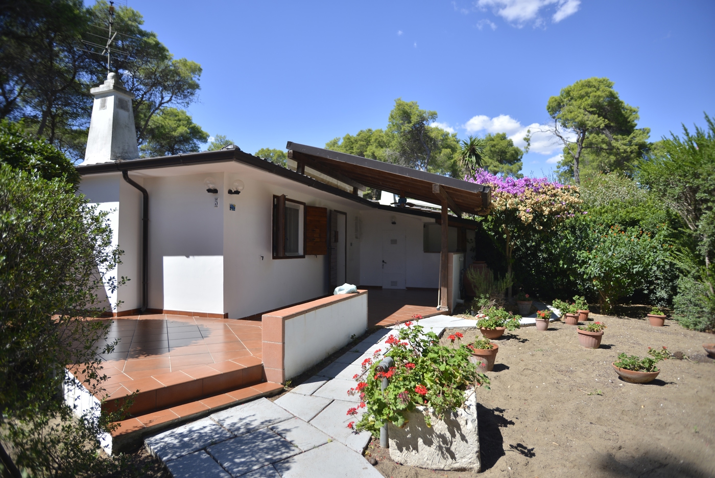 immagine annuncio 7 di 10