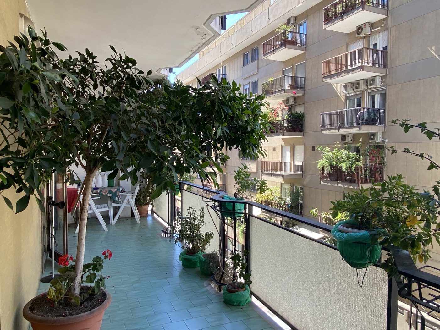 Quadrilocale arredato in affitto a Bari