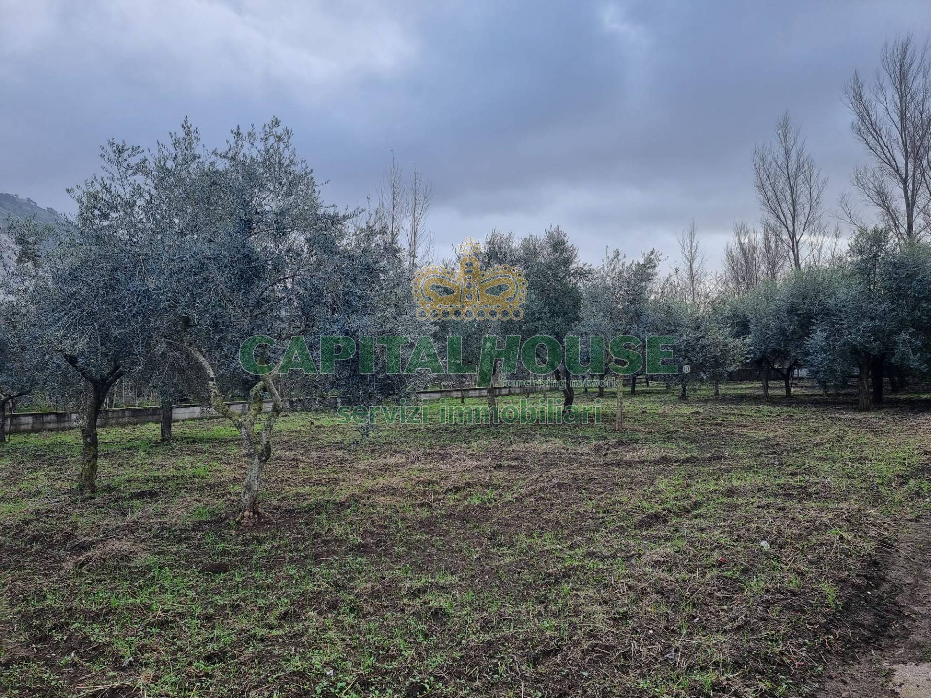 Terreno agricolo in vendita a Maddaloni