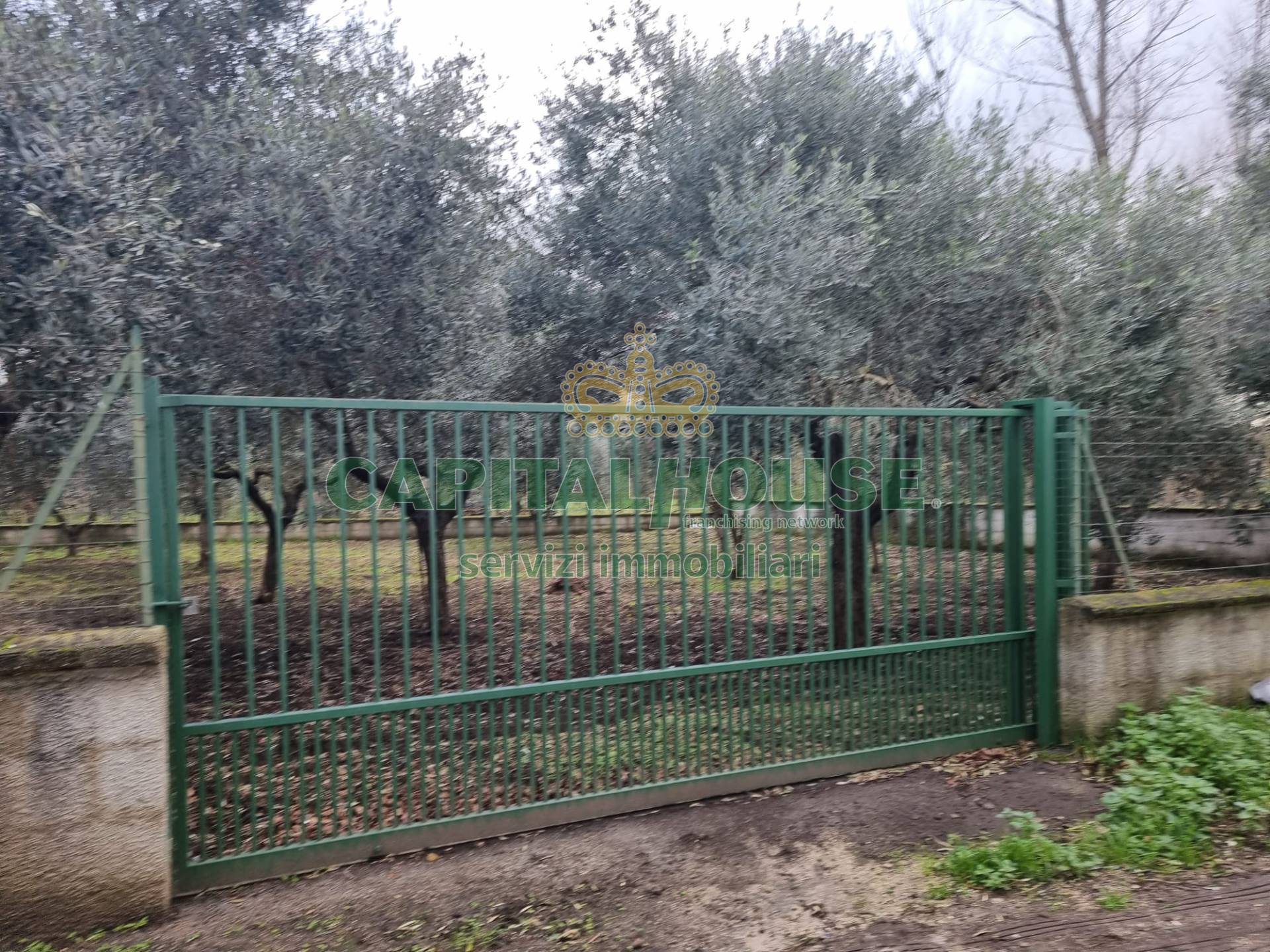 Terreno agricolo in vendita a Maddaloni