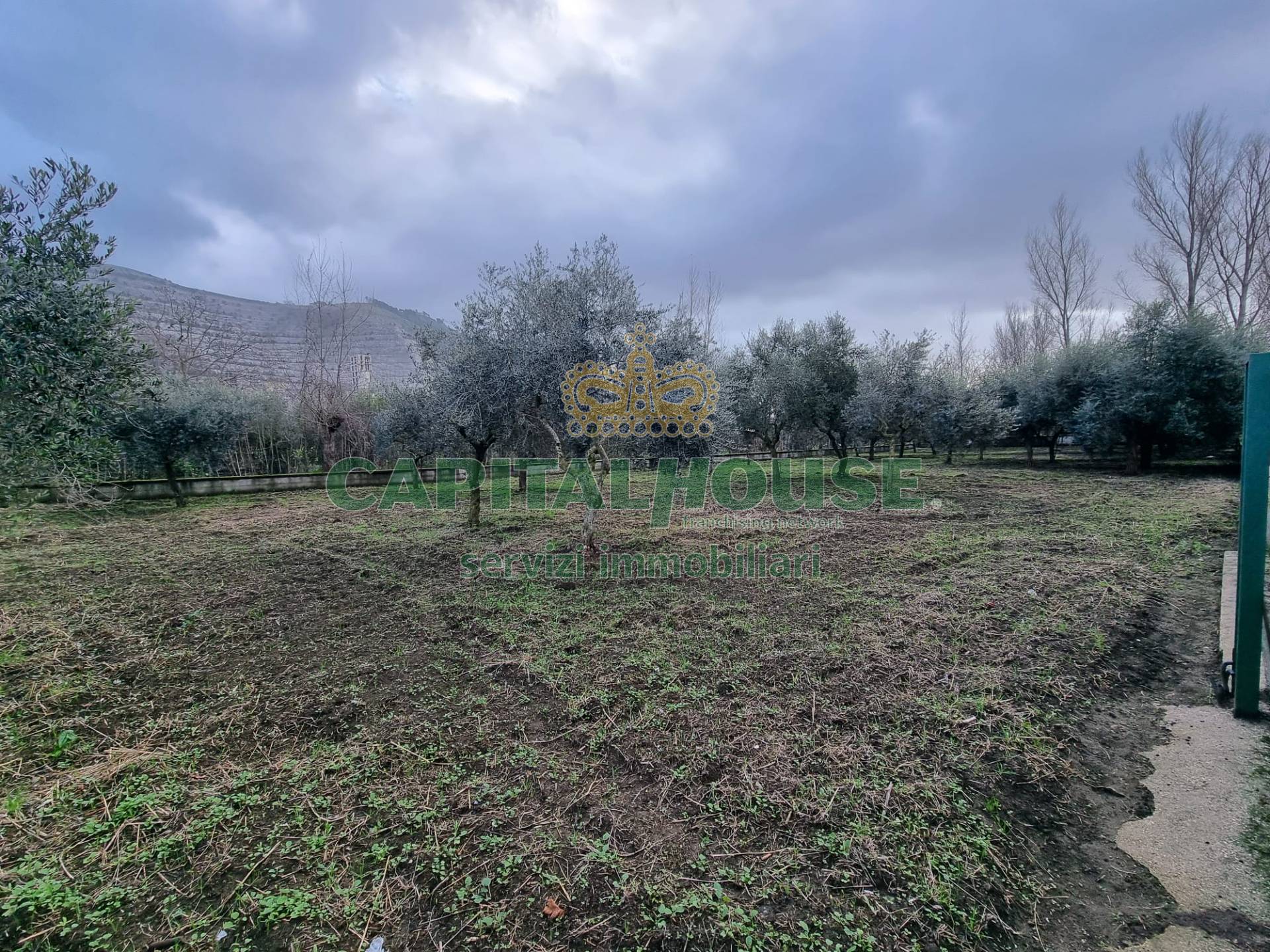 Terreno agricolo in affitto a Maddaloni