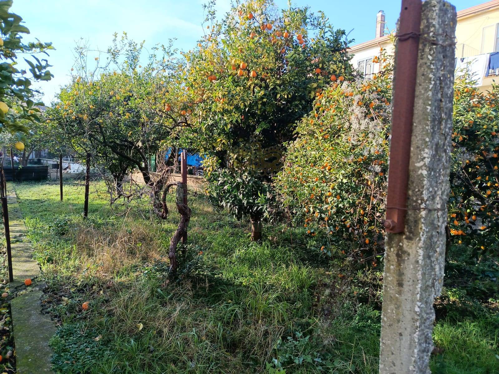 Appartamento in affitto a Caserta, Lincoln