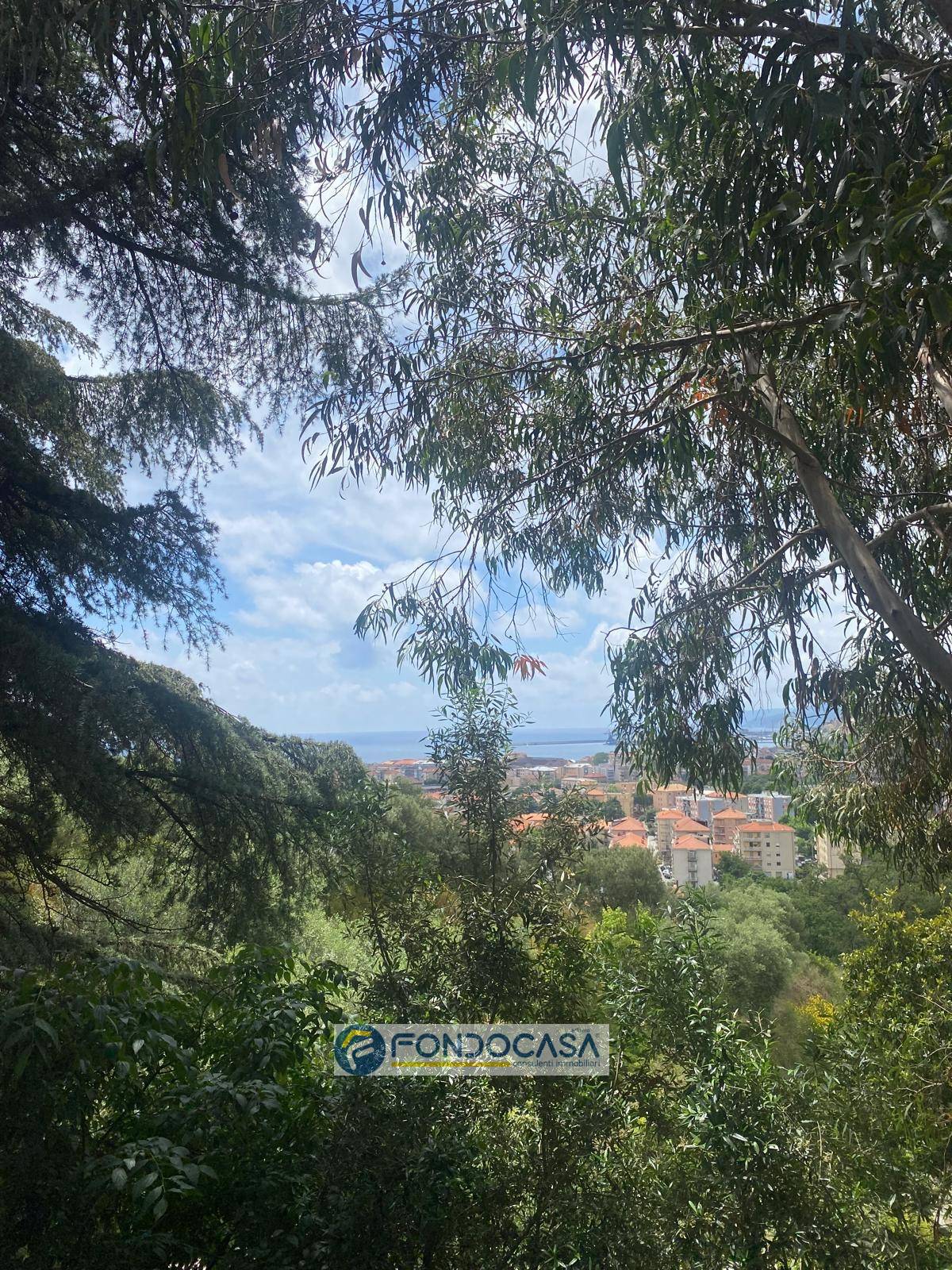 immagine annuncio 3 di 6