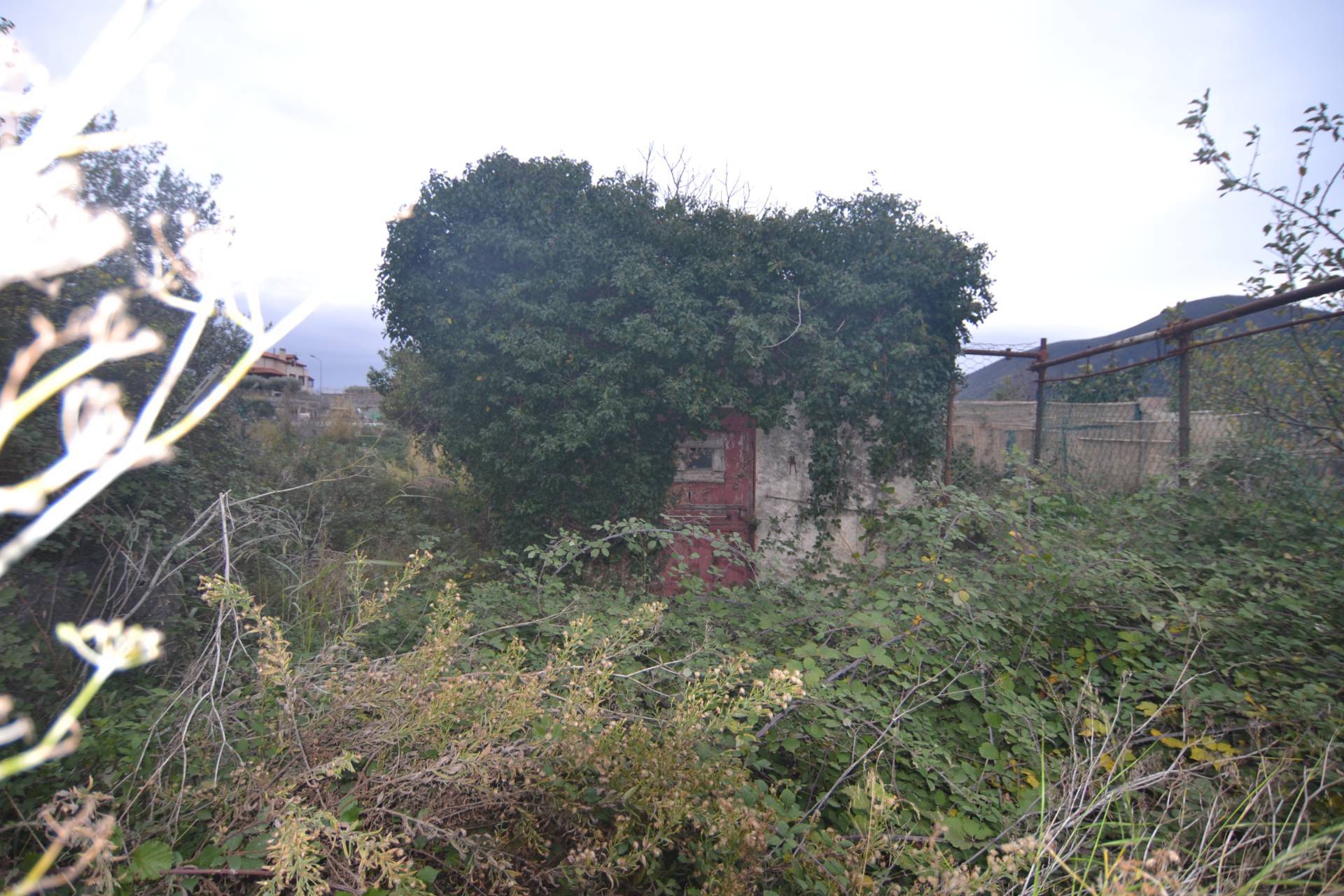 Terreno Agricolo in vendita a Toirano